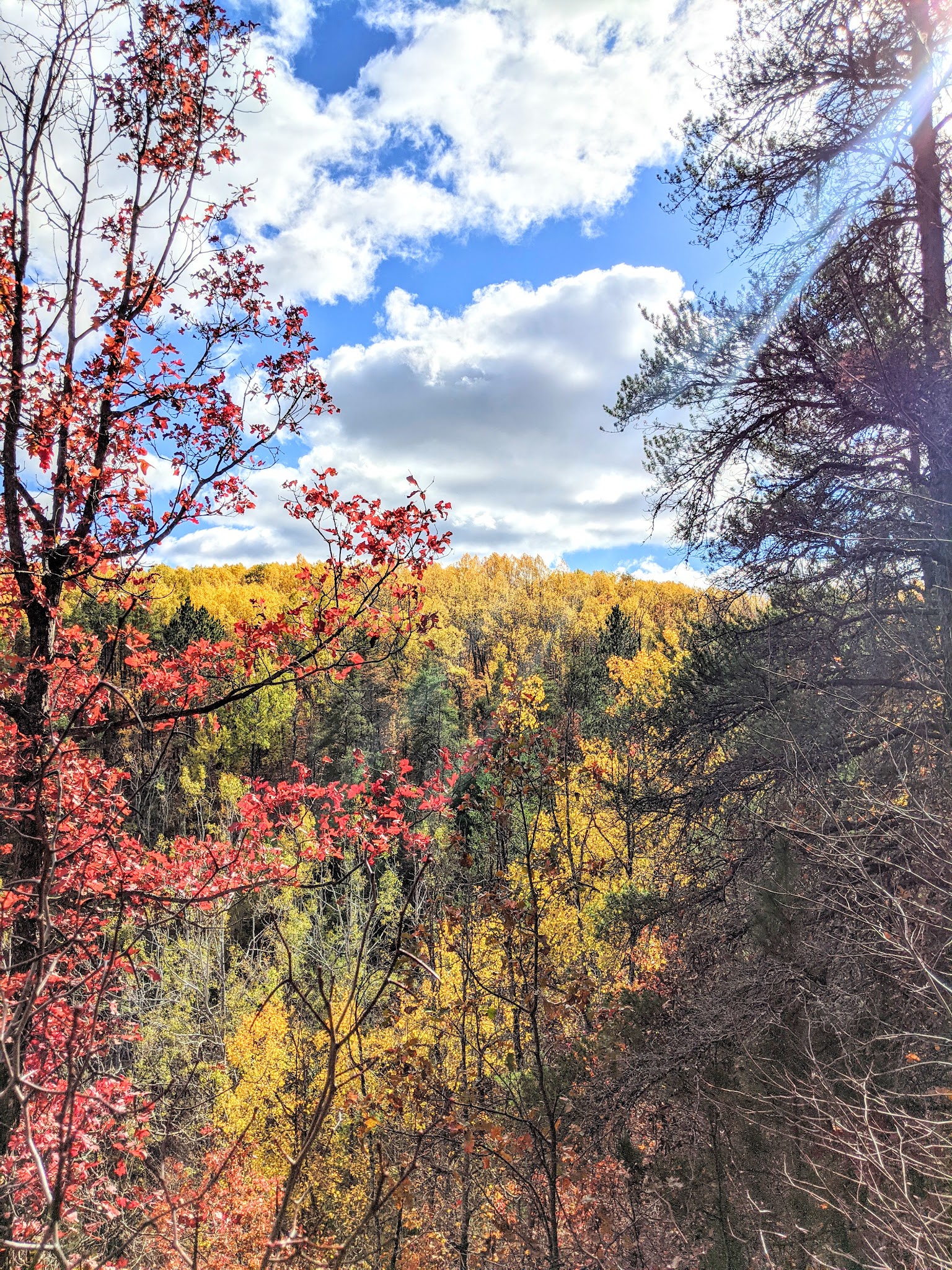 Tomahawk Lake State Forest Campground