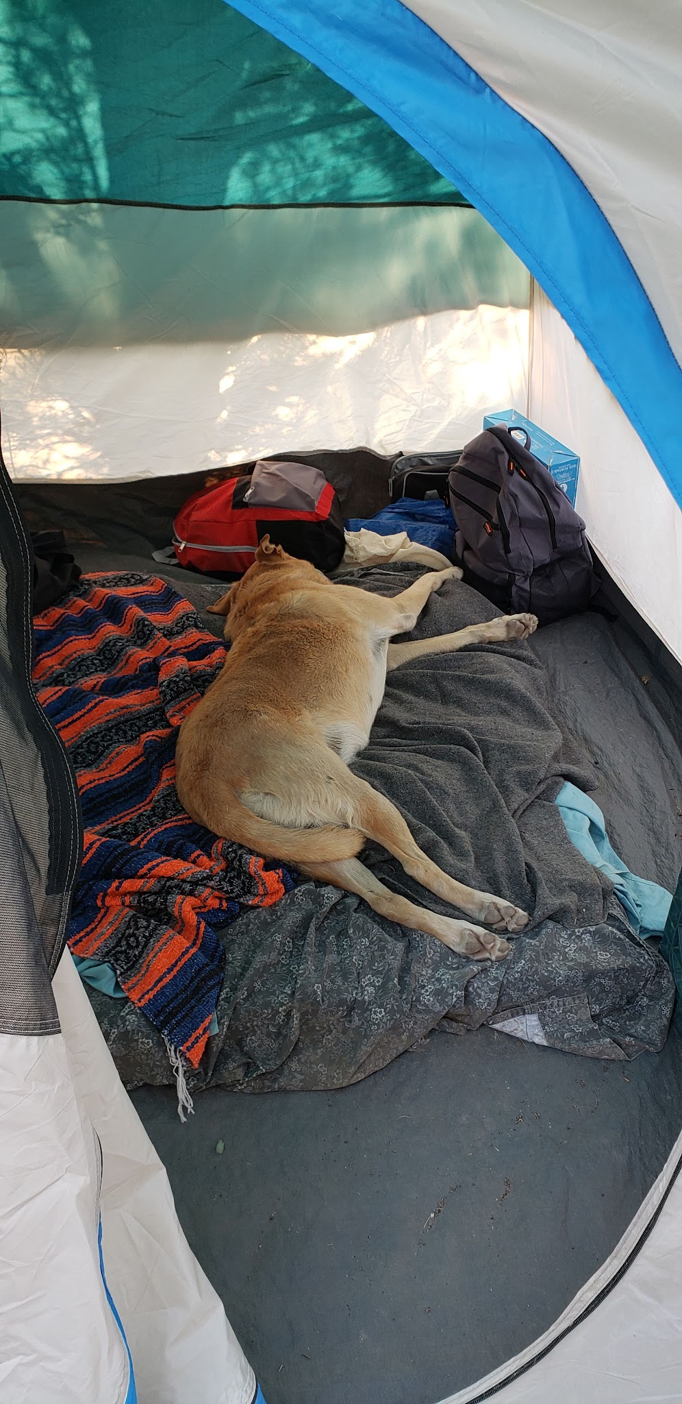 Toquima Cave Campground