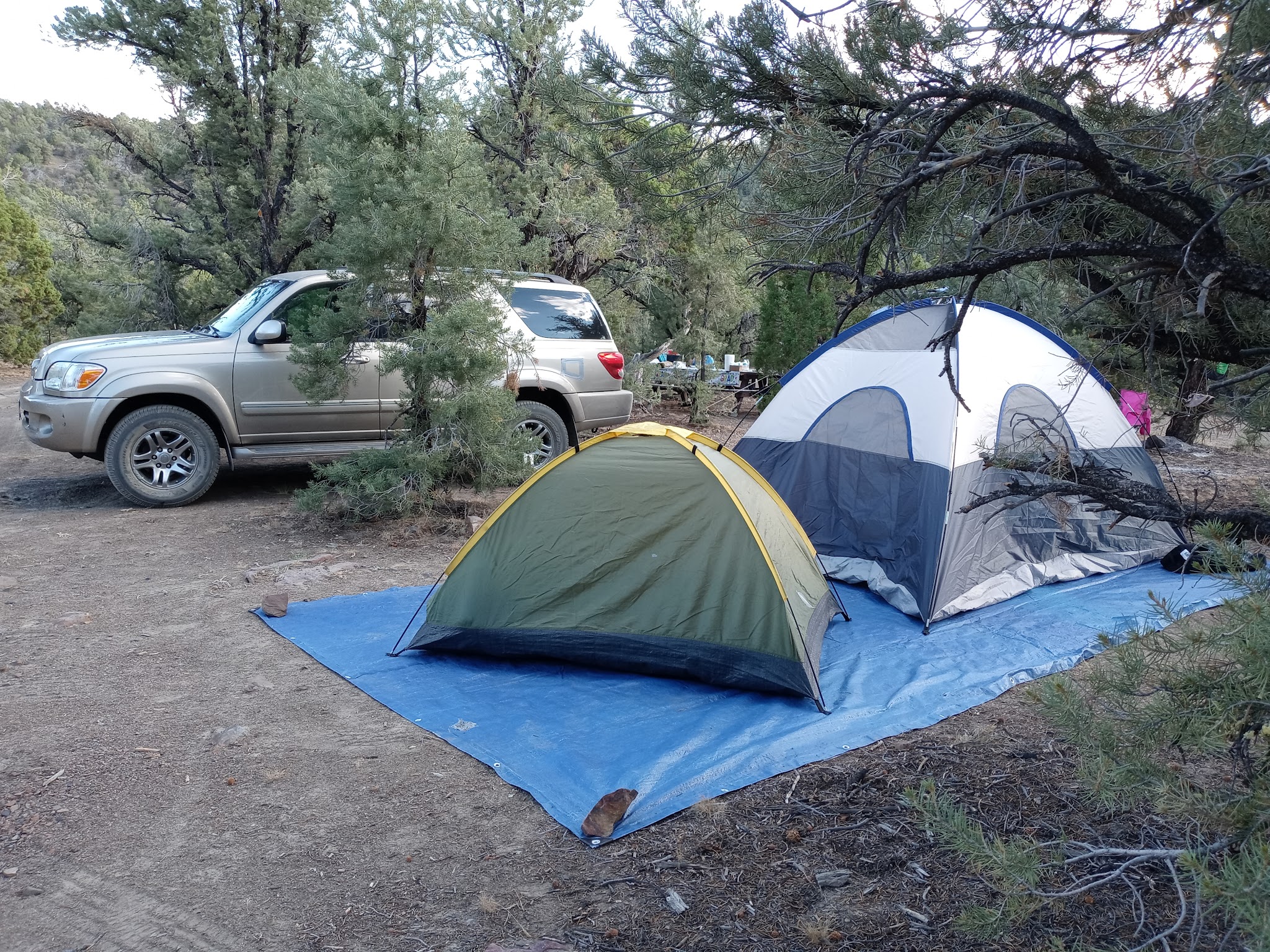 Toquima Cave Campground