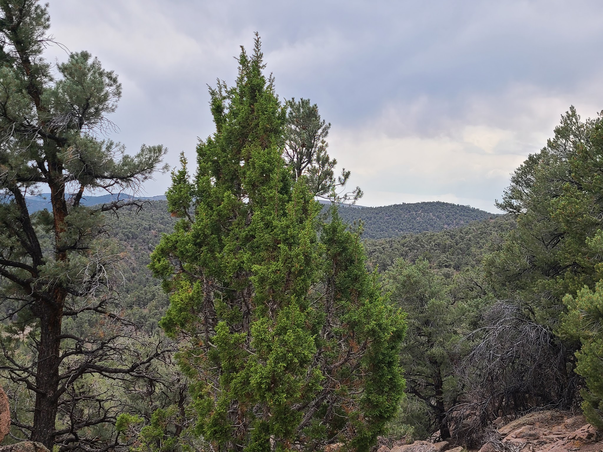 Toquima Cave Campground