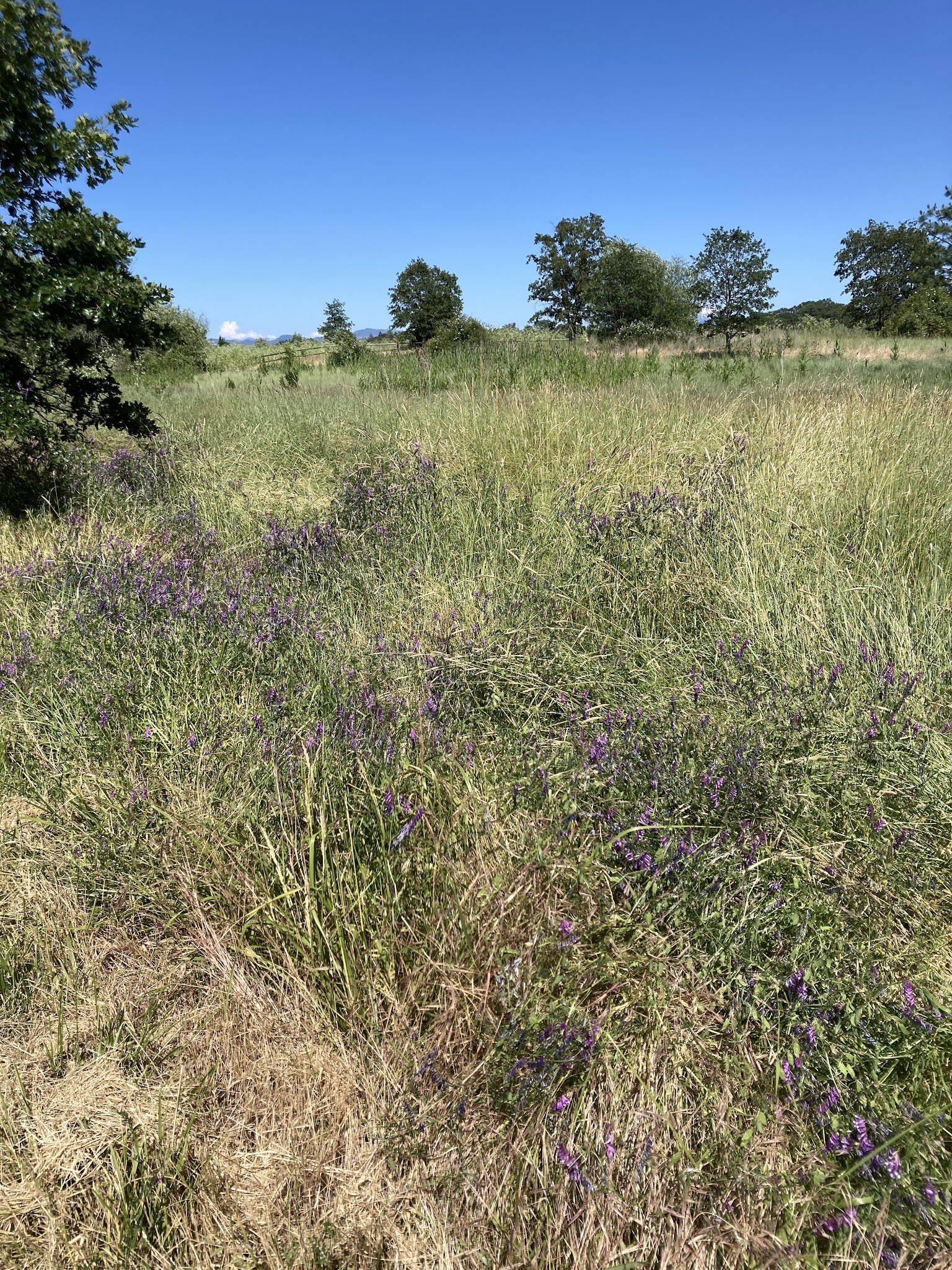 Touvelle State Recreation Site