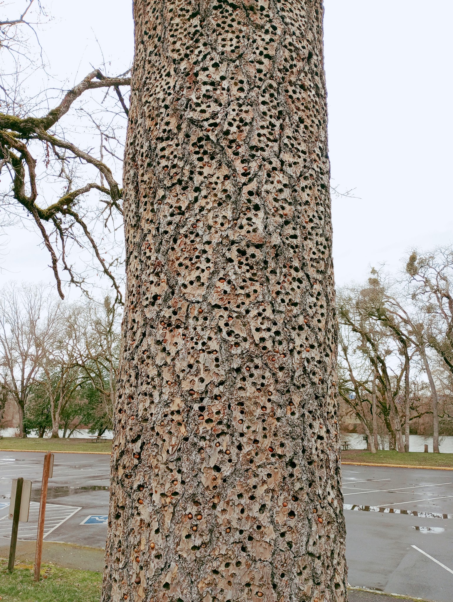 Touvelle State Recreation Site