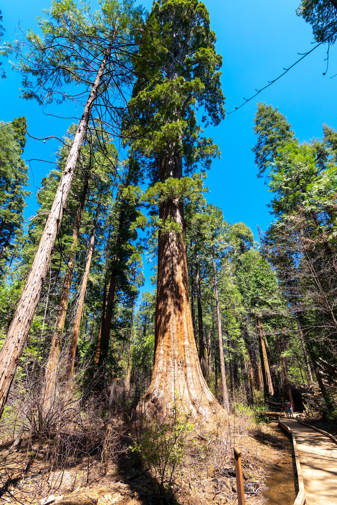 Northern California Camping