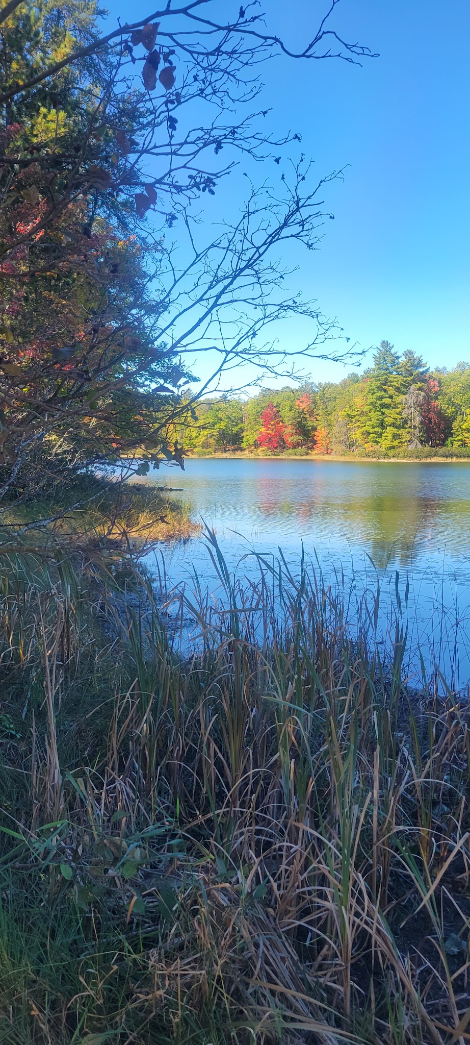 Town Corner Lake State Forest Campground