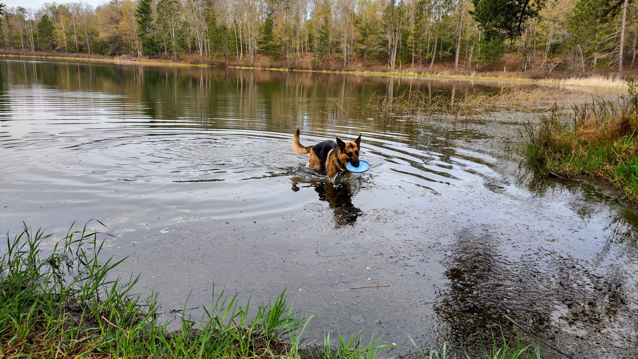 Town Corner Lake State Forest Campground