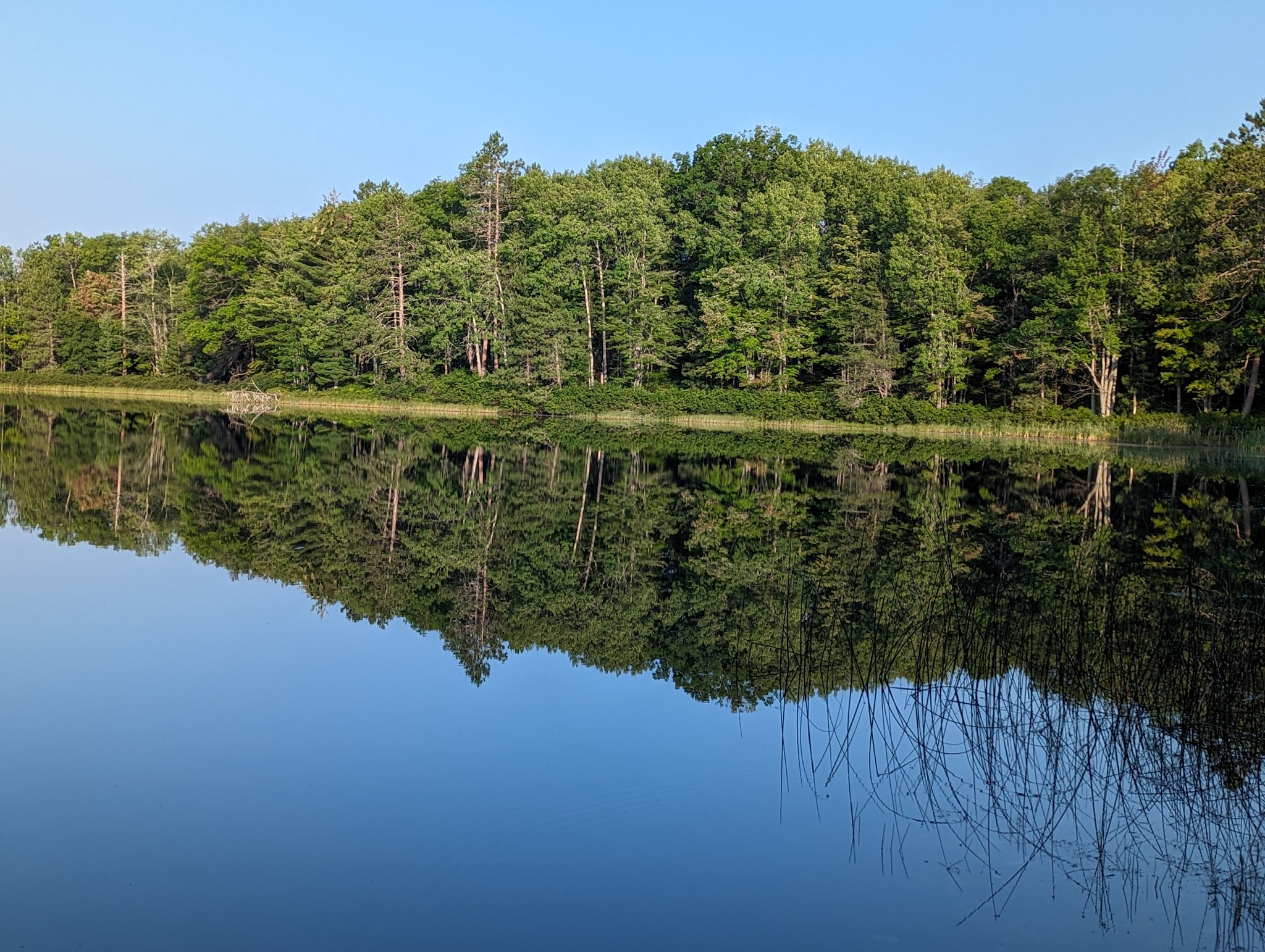 Town Corner Lake State Forest Campground