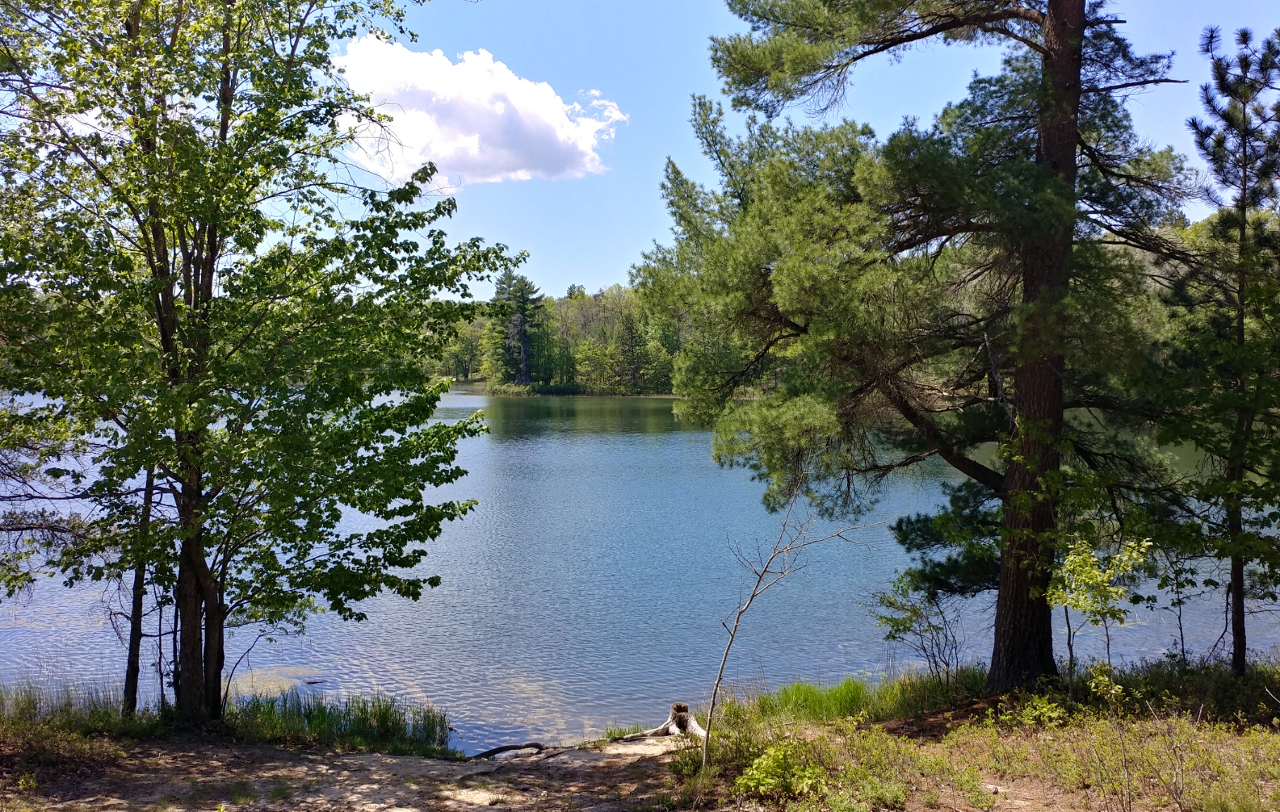 Town Corner Lake State Forest Campground