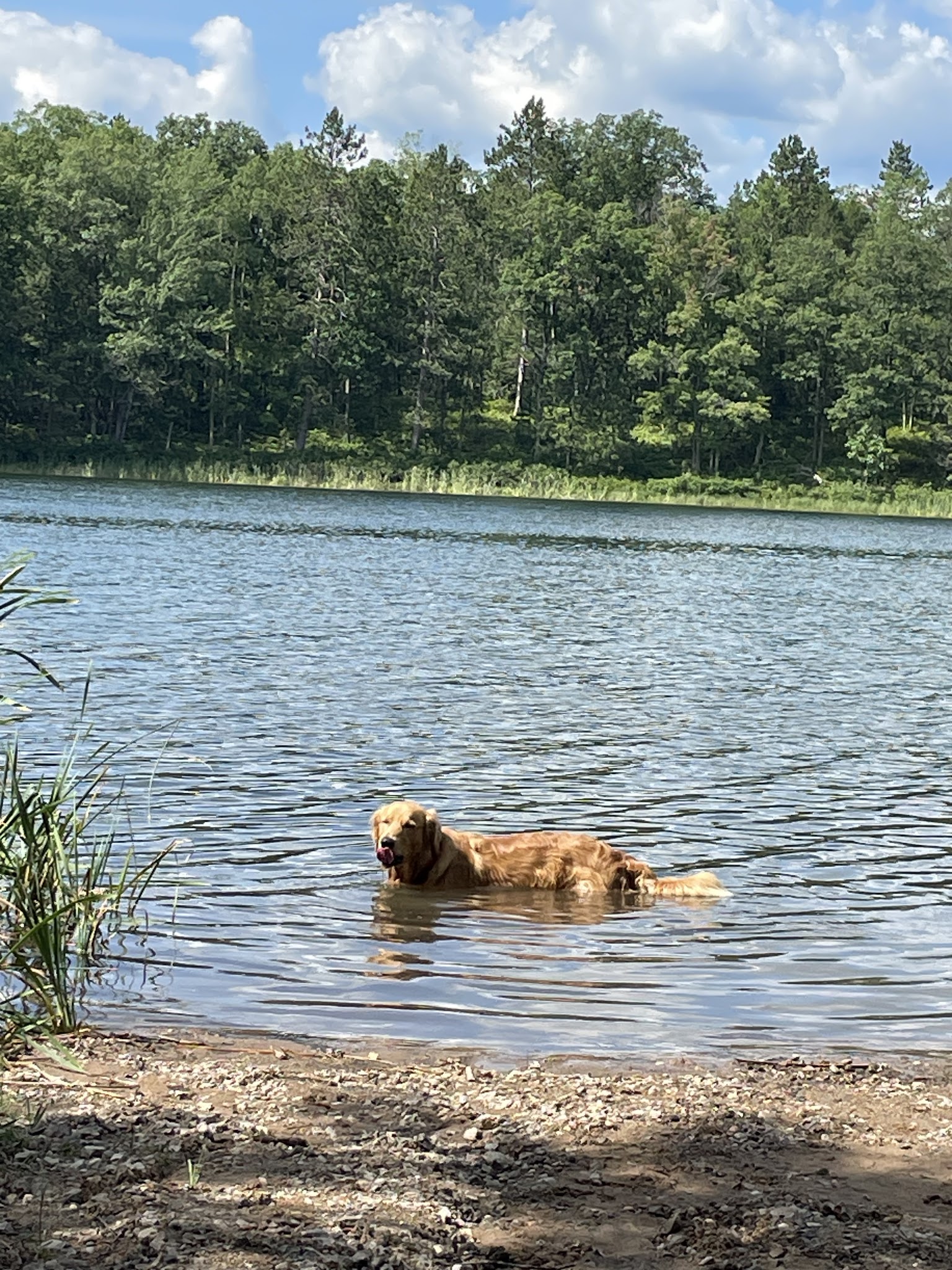 Town Corner Lake State Forest Campground