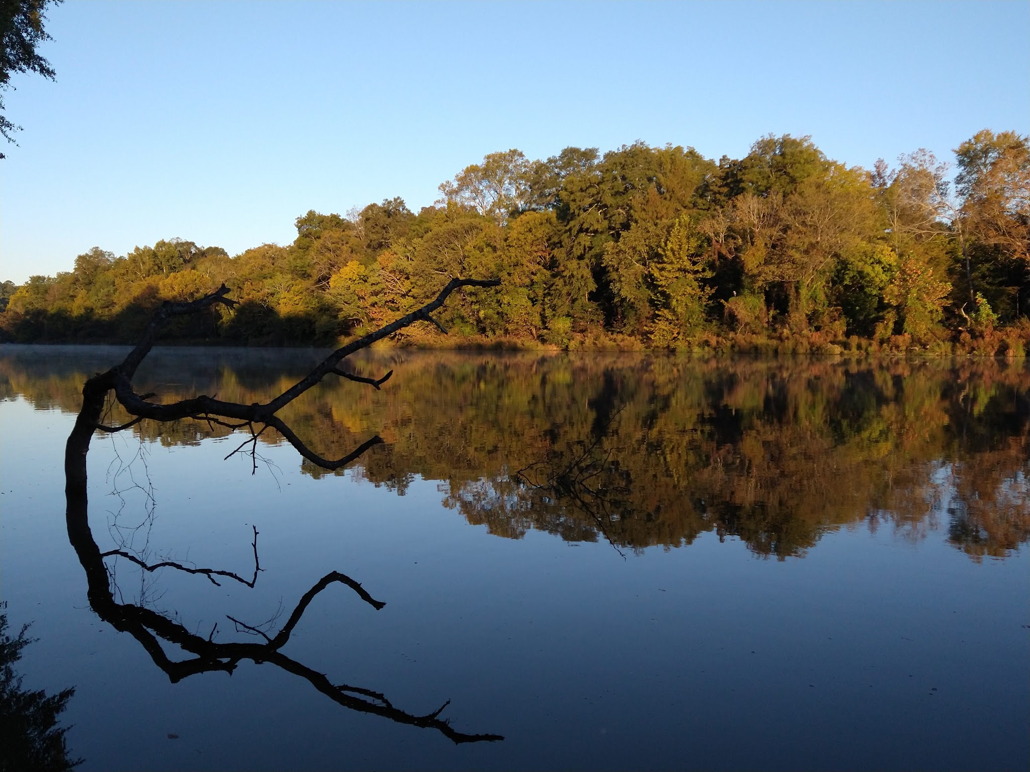 Town Creek Campground - West Point - Ms