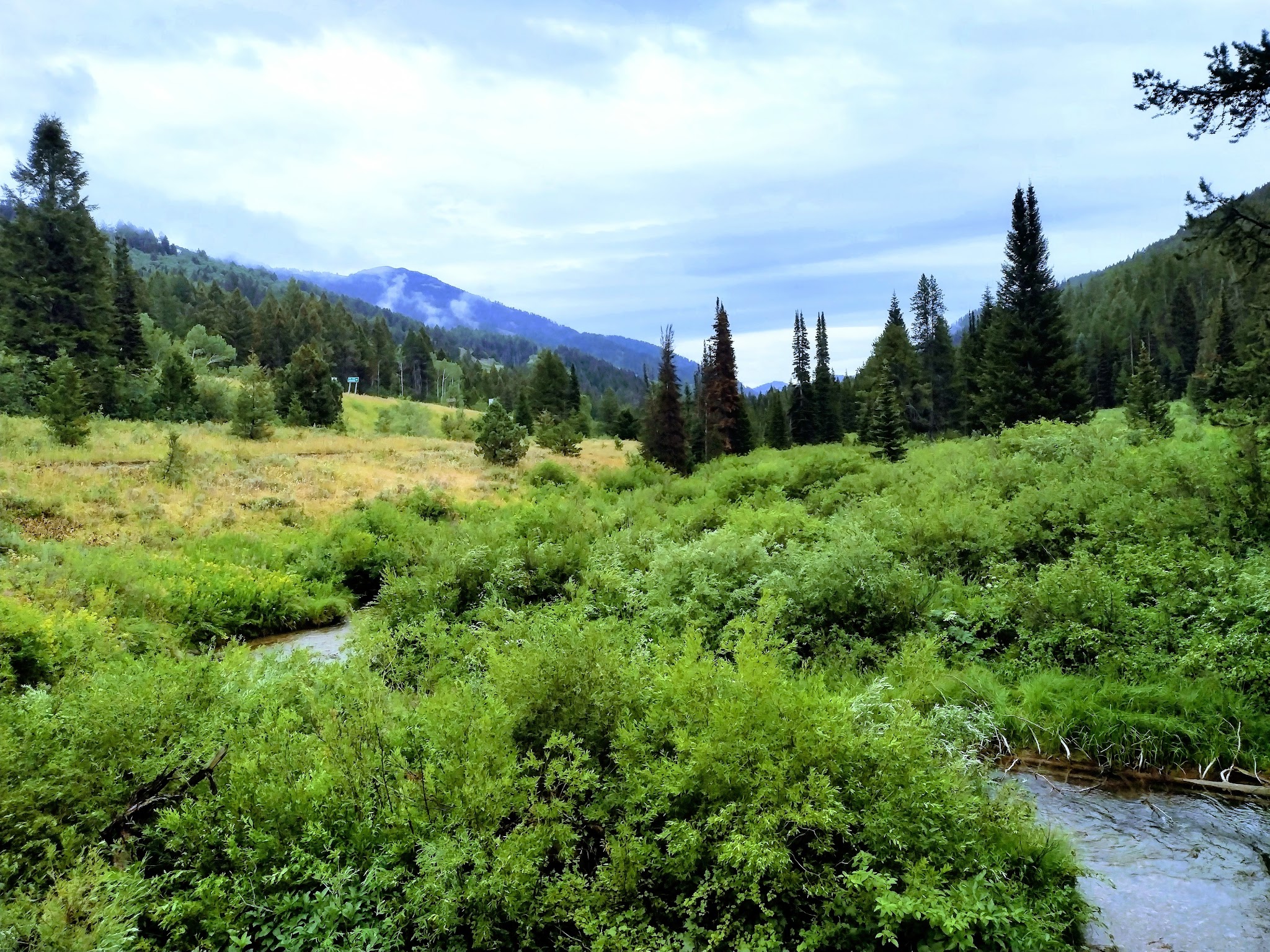 Fishing Campgrounds in Wyoming