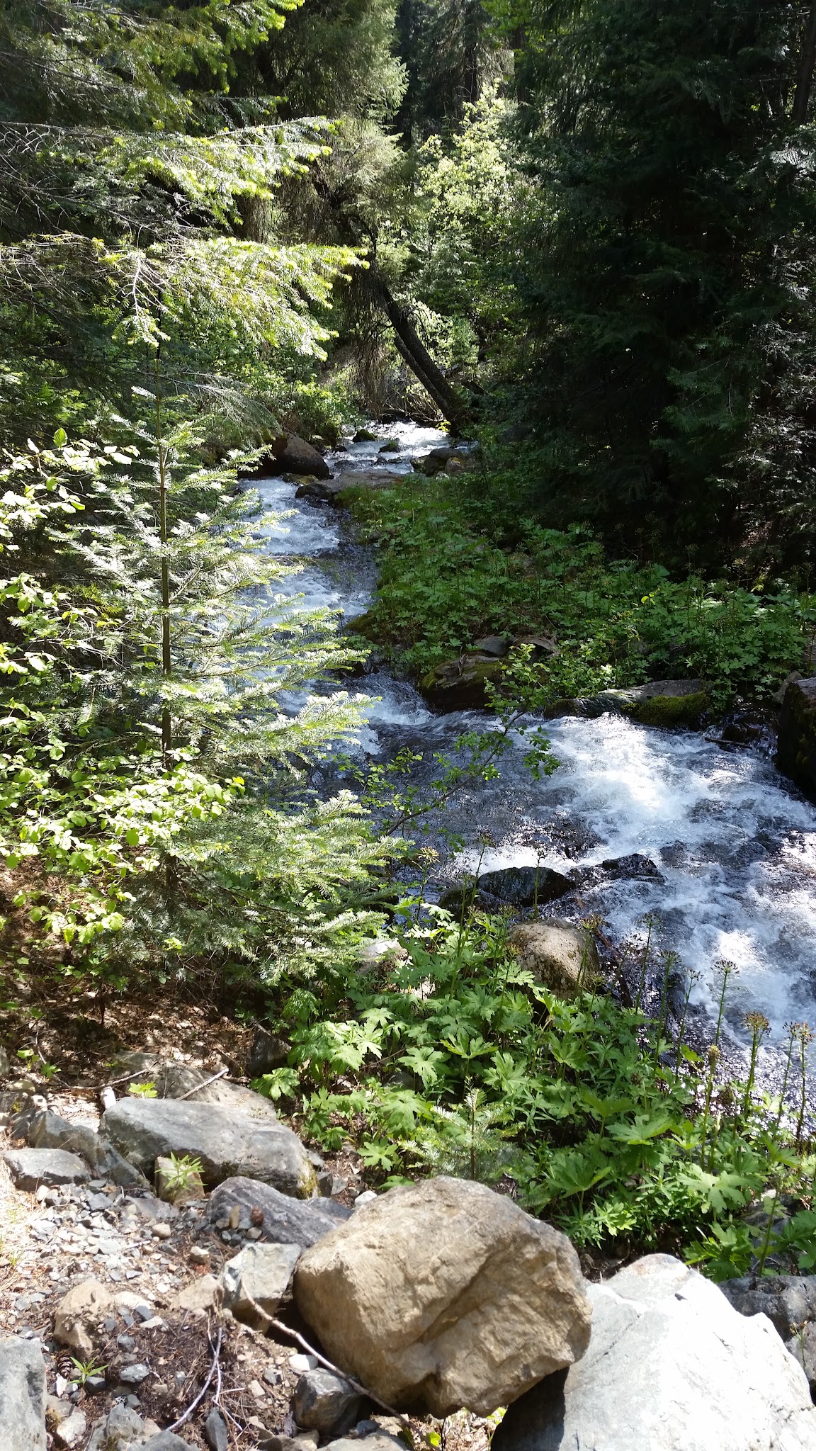 Shadow Creek Campground