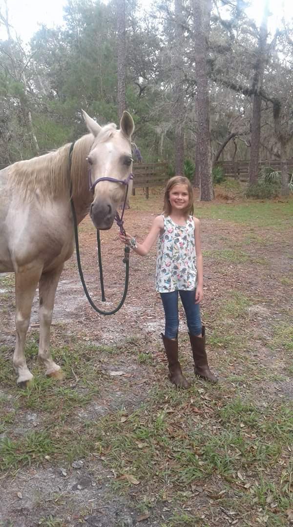 Tram Road Equestrian Campground Tiger Bay State Forest