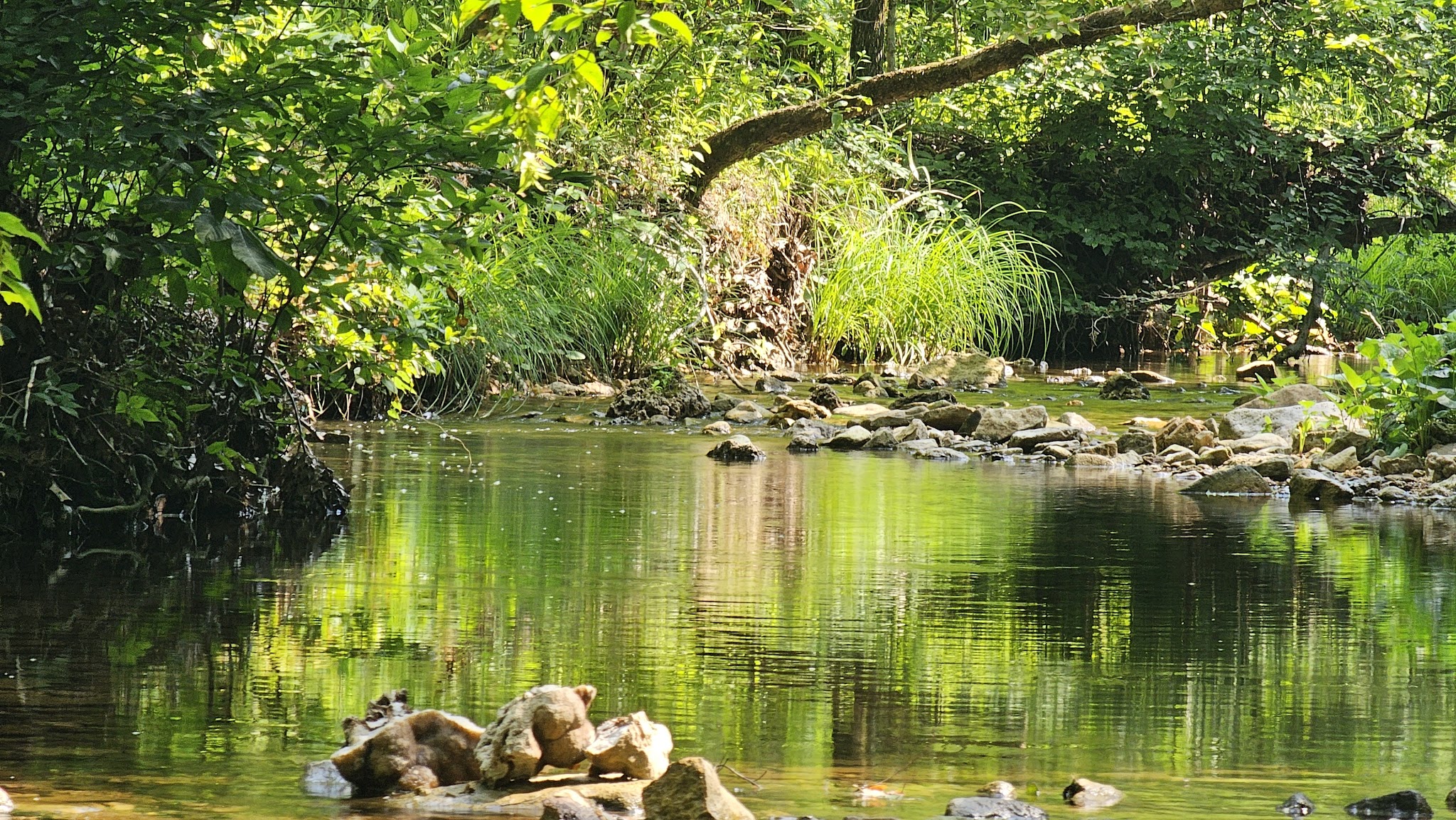 Special Use Campground
