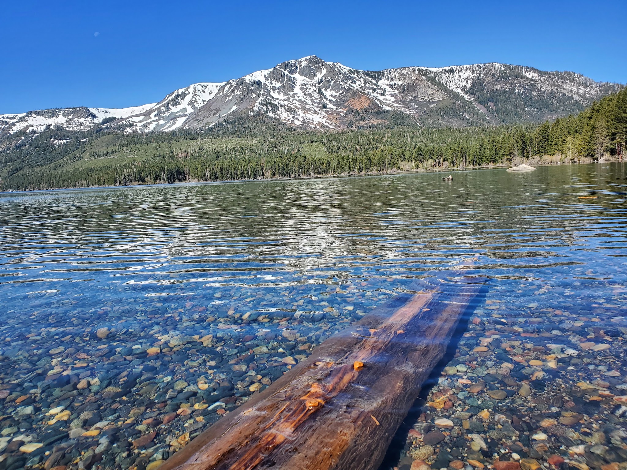 Fallen Leaf Campground