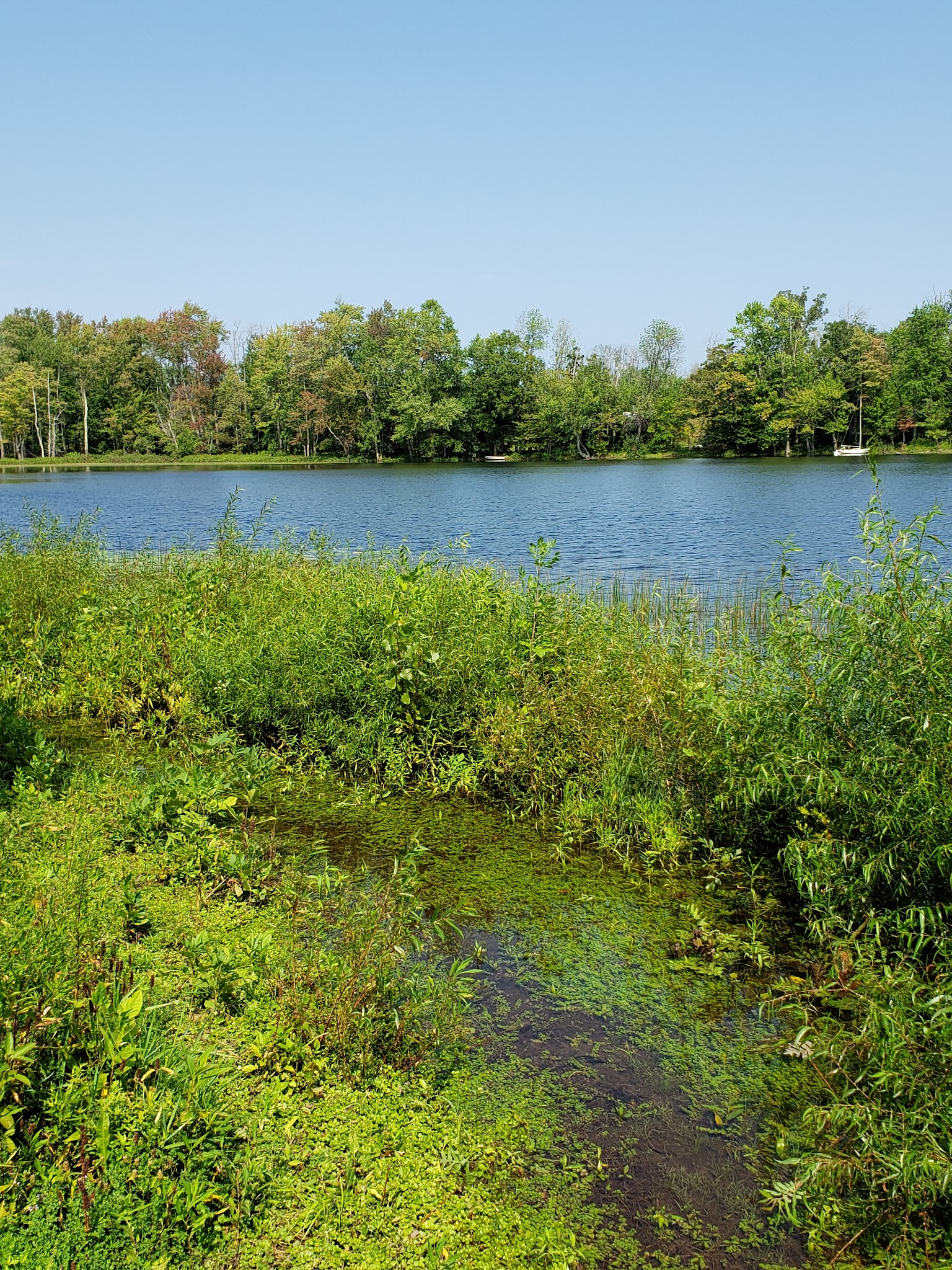 Thompsons Lake Campground At Thacher State Park