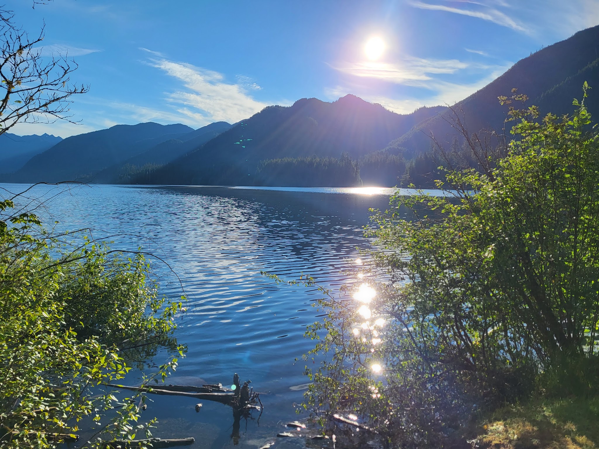 Wynoochee Lake Shore Trailhead - Coho Campground