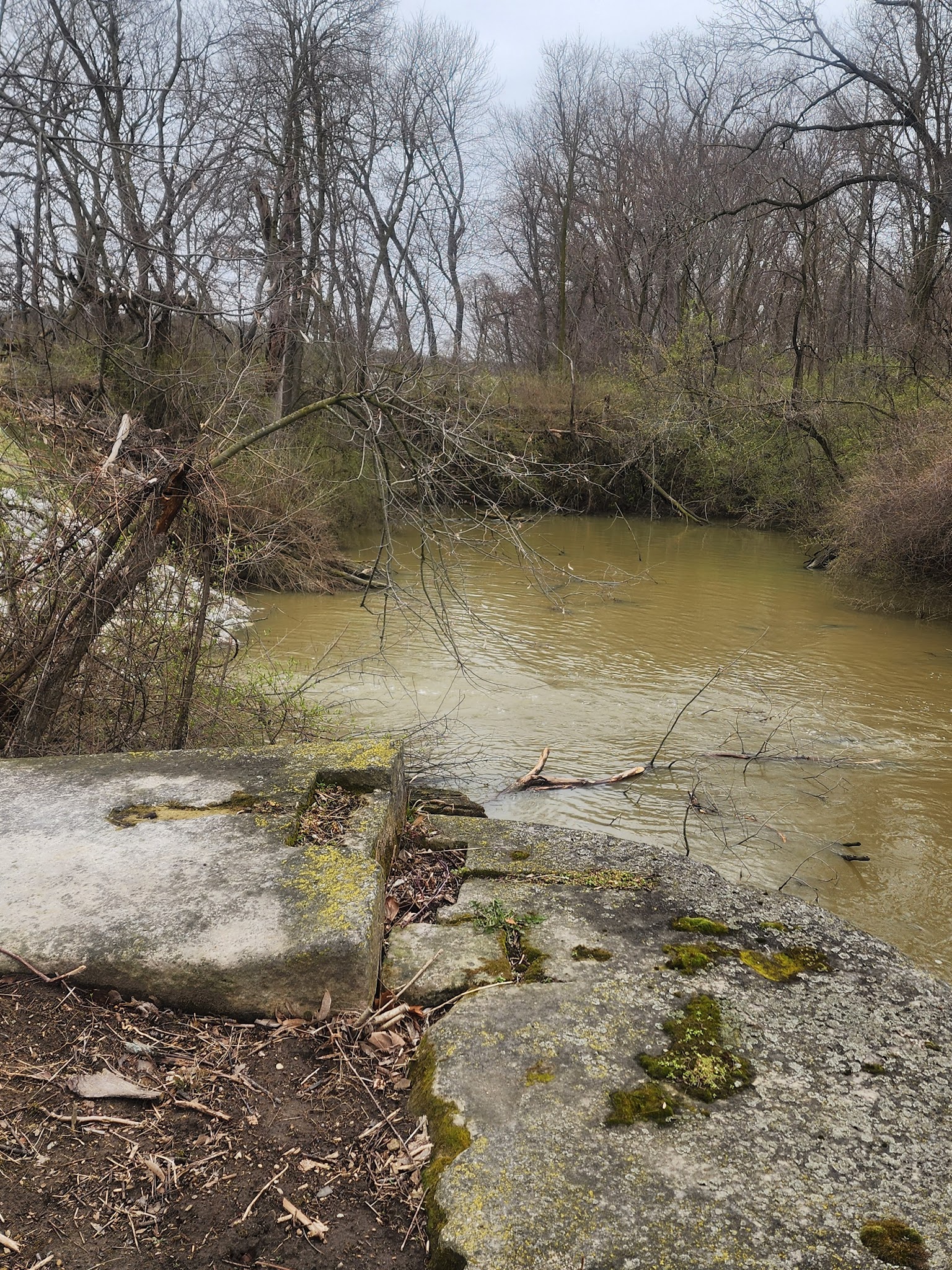 Independence Dam Campground