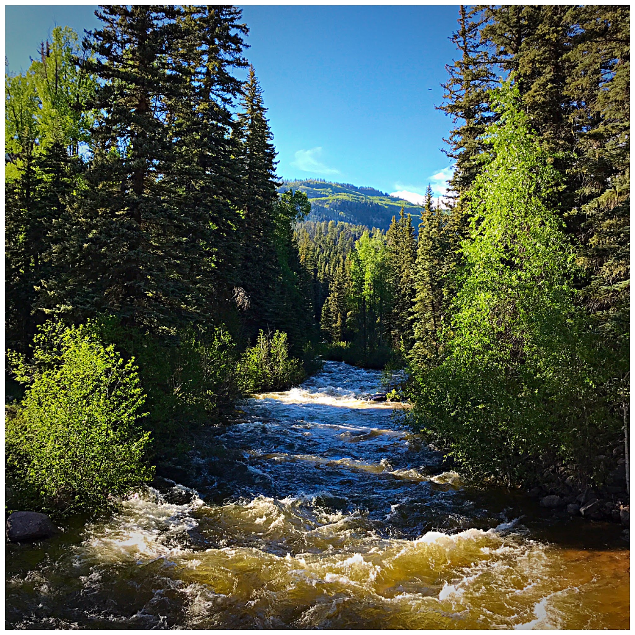 Transfer Park Campground