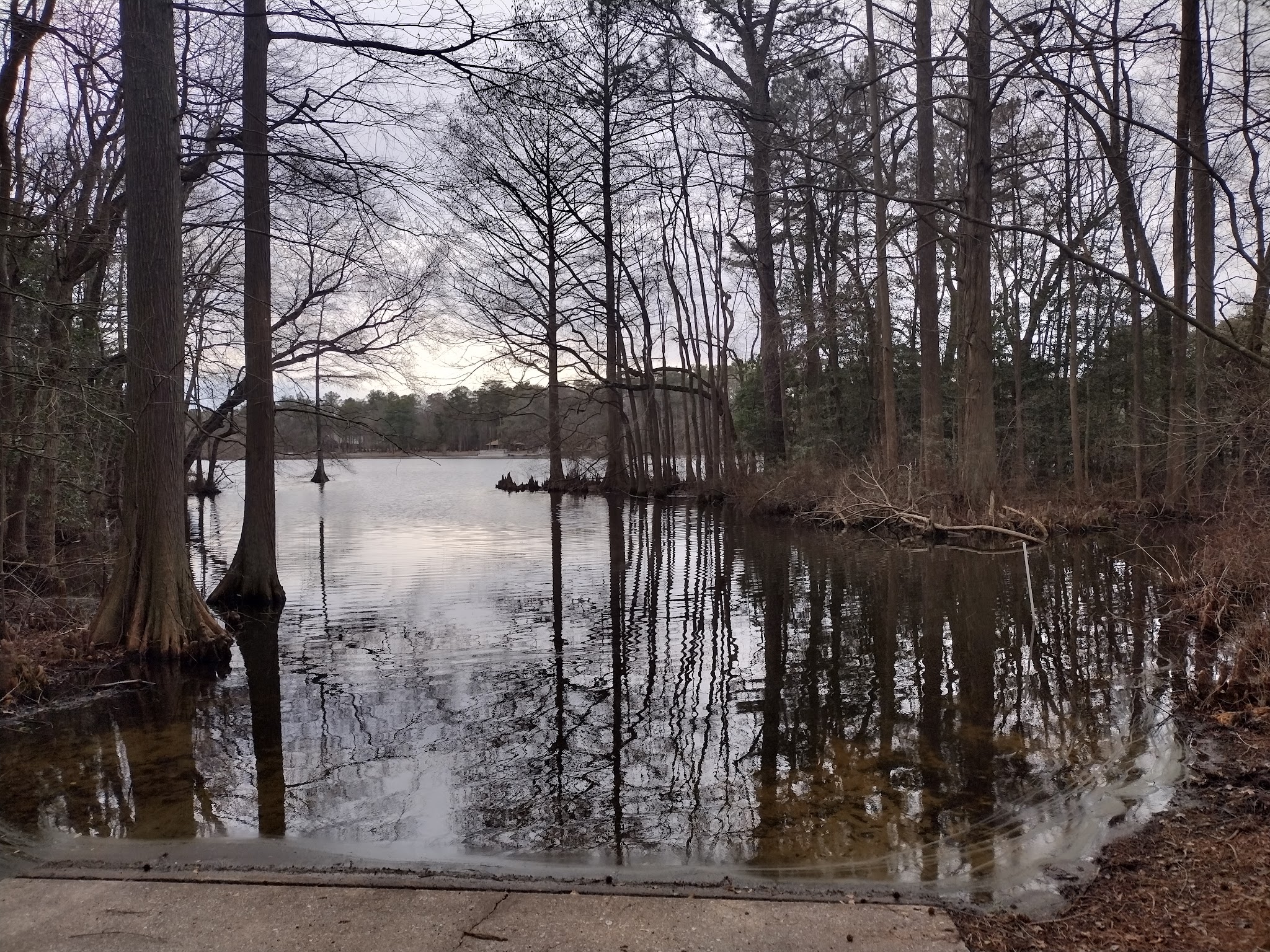 Trap Pond State Park