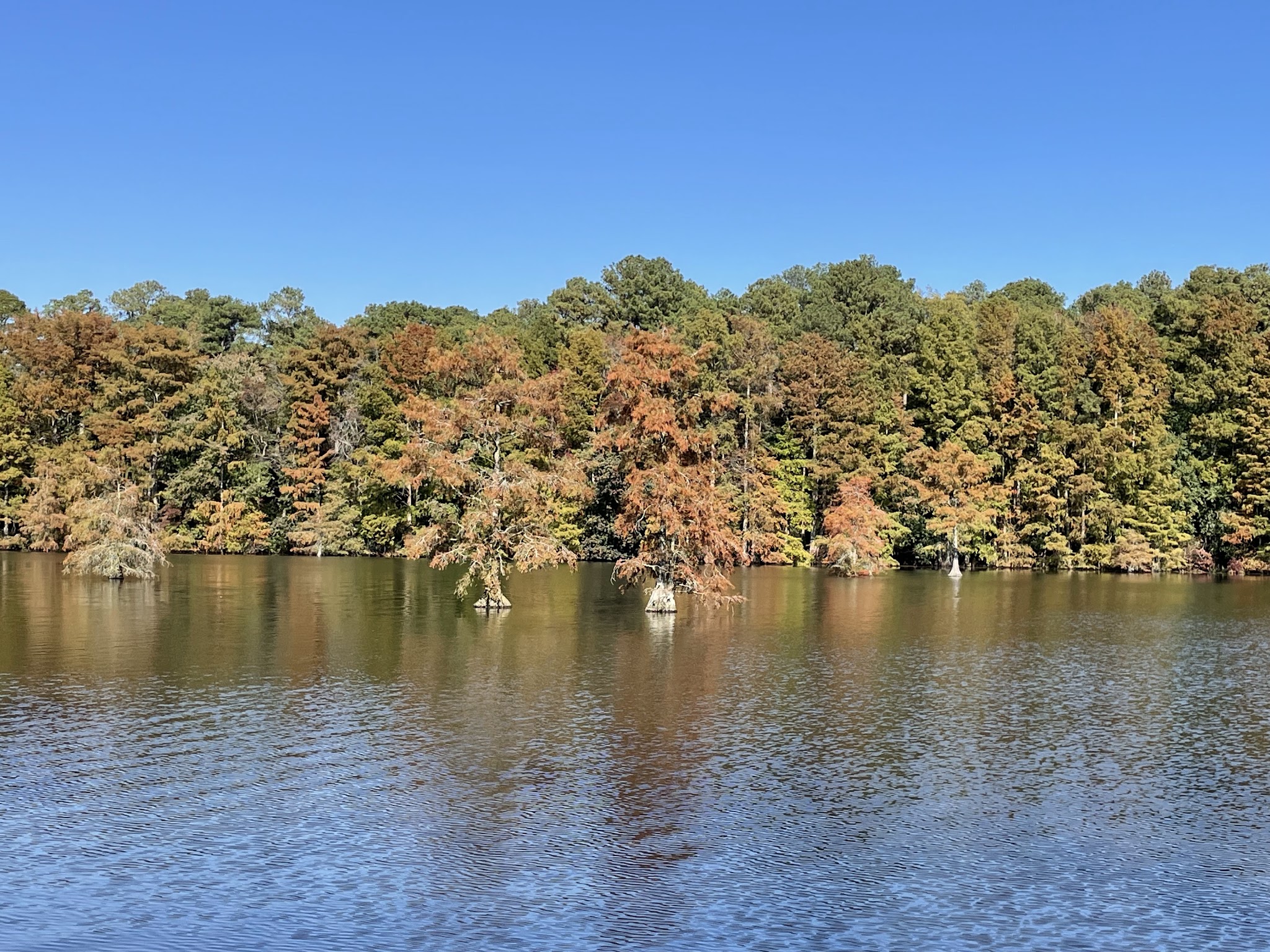 Trap Pond State Park