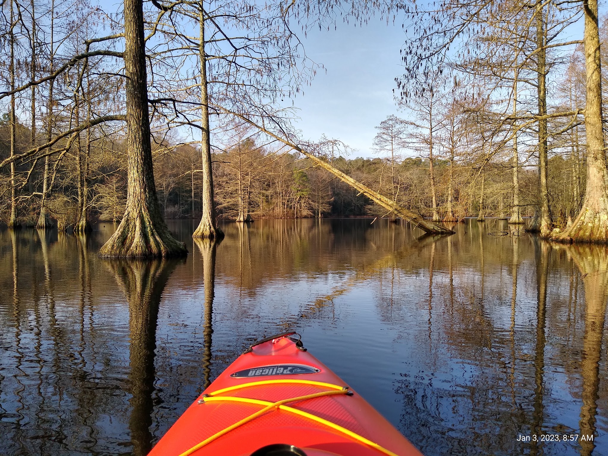 Trap Pond State Park