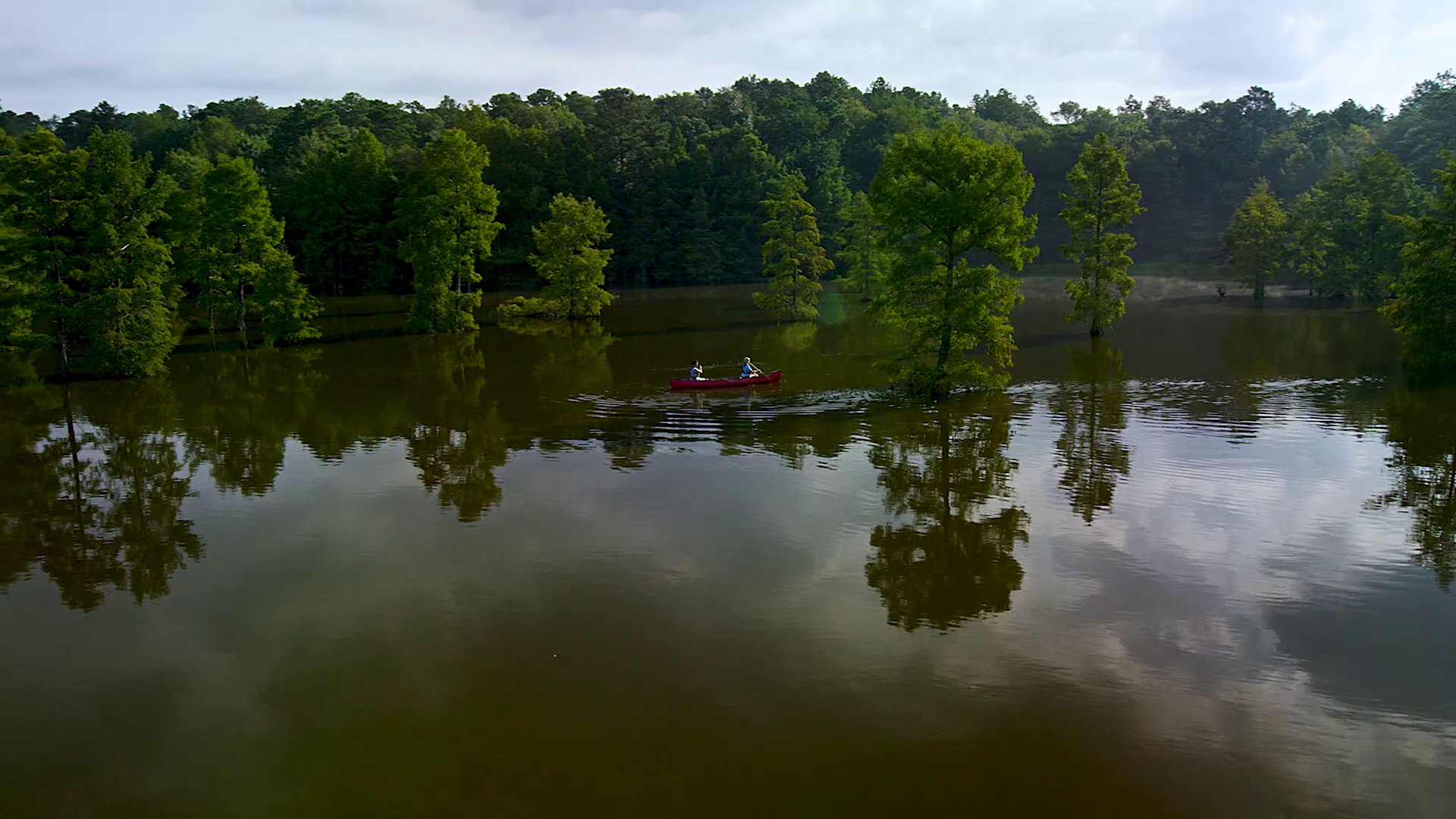 Trap Pond State Park