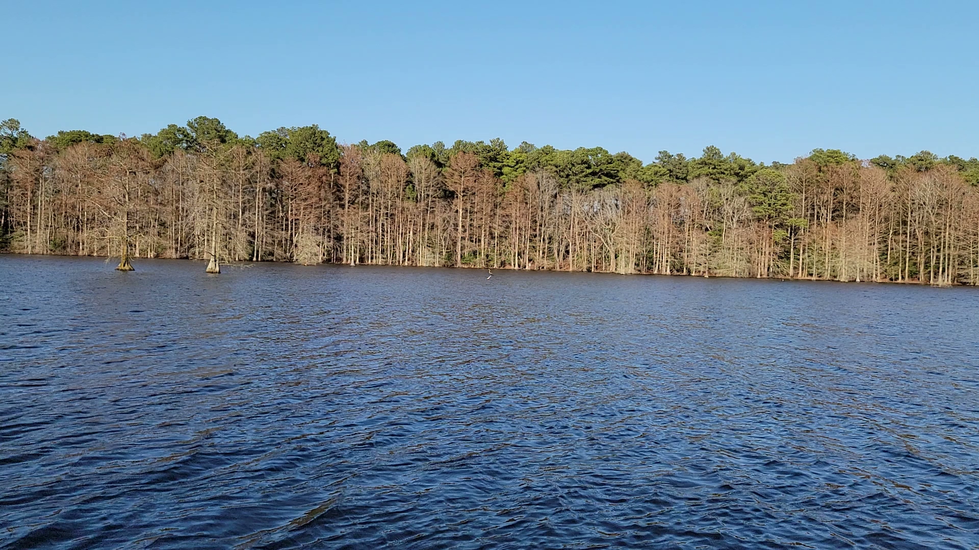 Trap Pond State Park