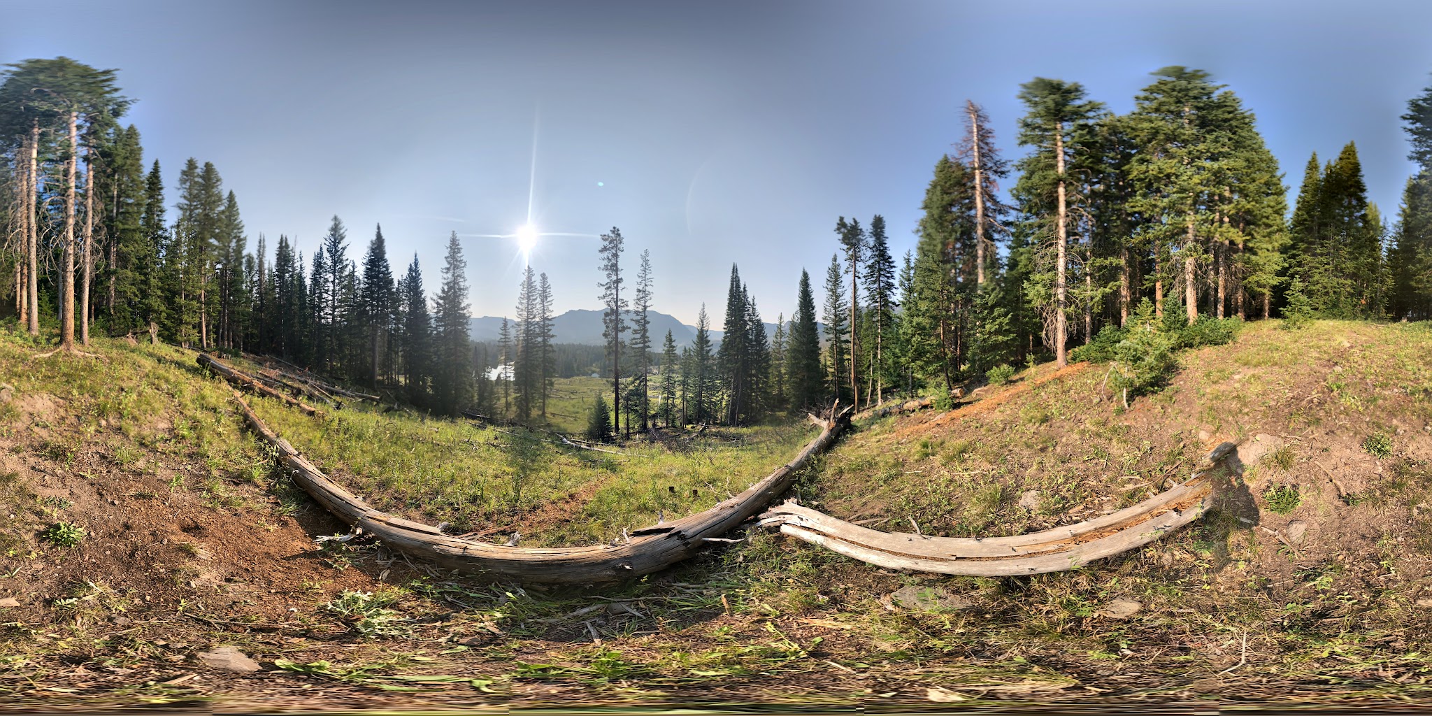 Trappers Lake / Trapline Campground