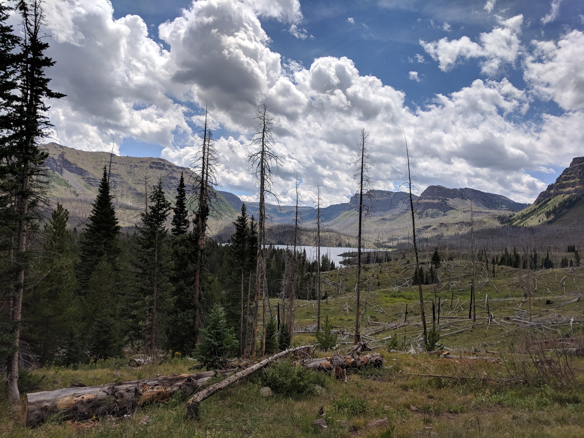 Trappers Lake / Trapline Campground