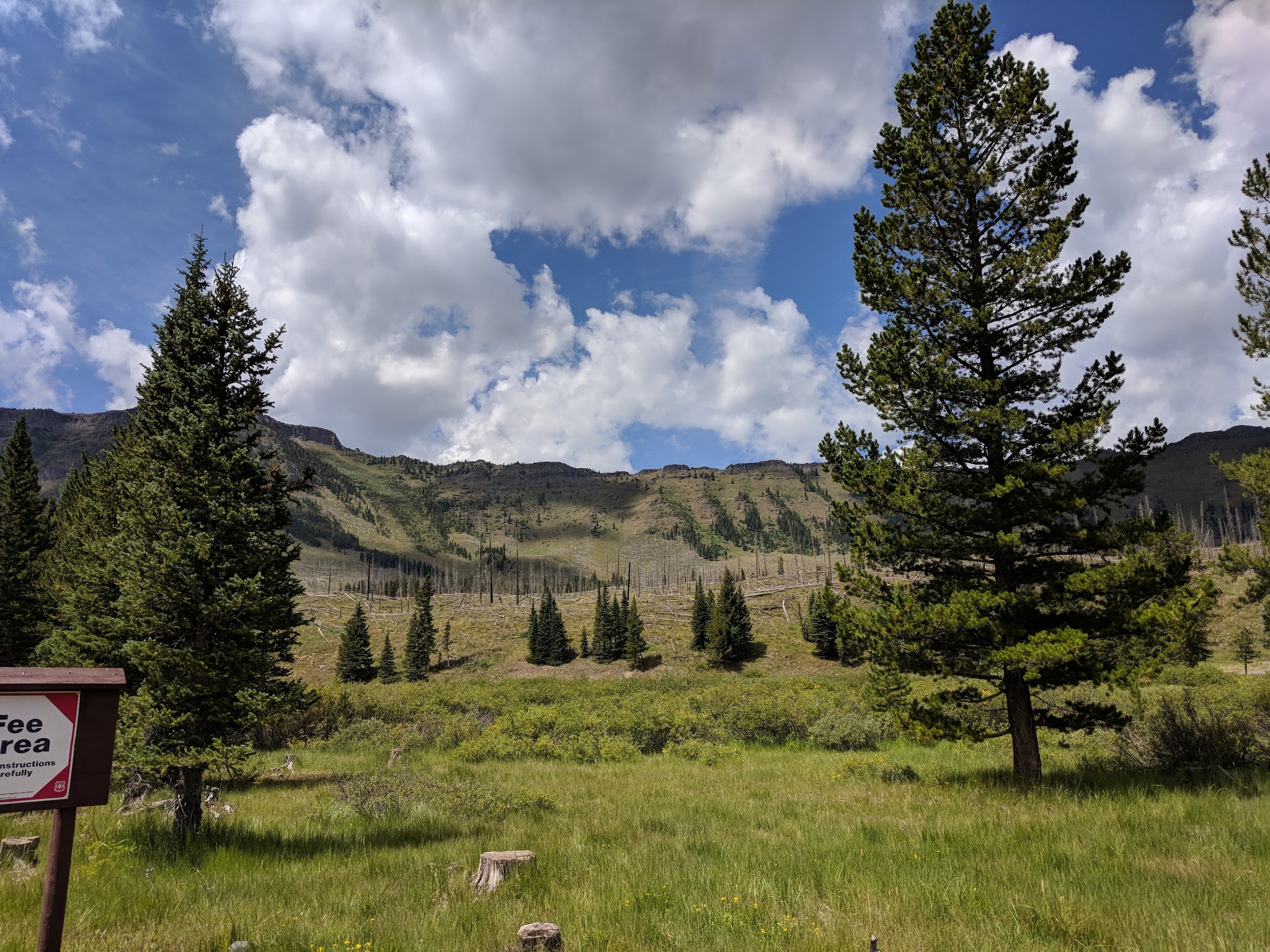 Trappers Lake / Trapline Campground