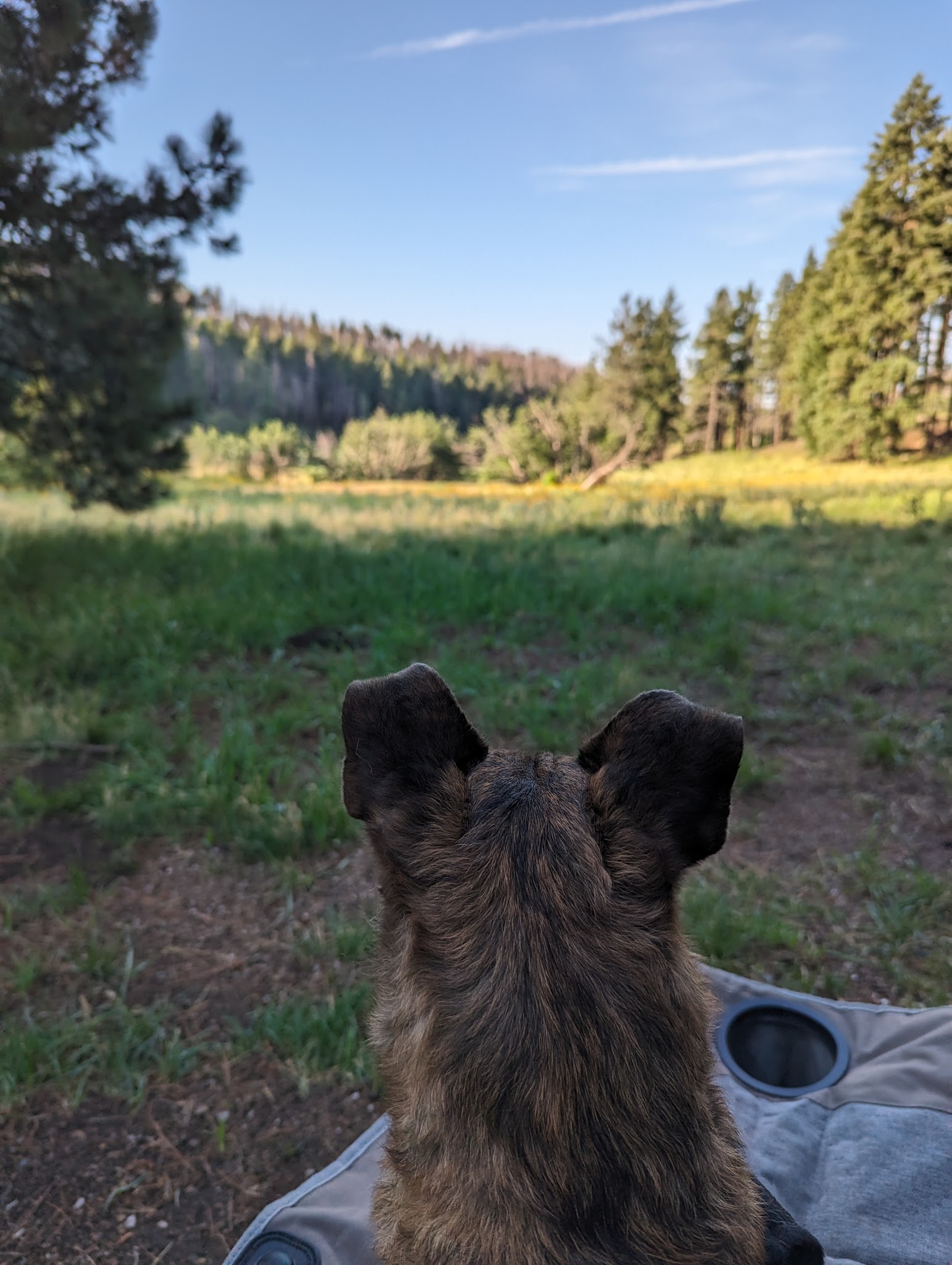 Treasure Park - East