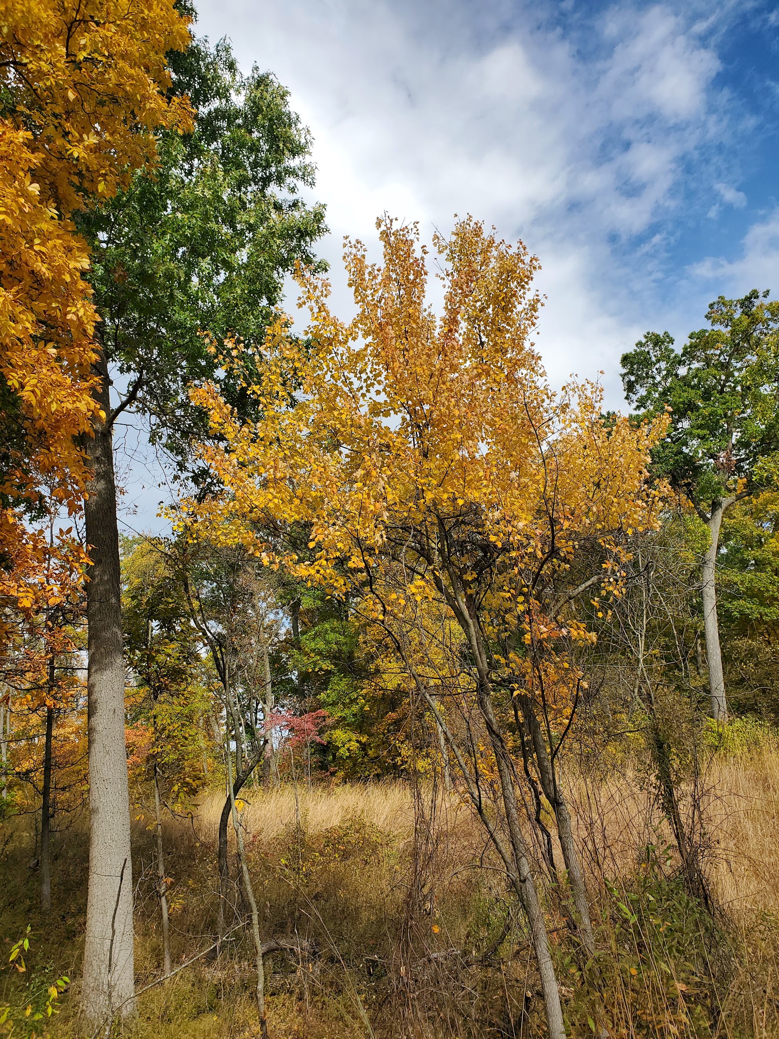 Trine State Recreation Area