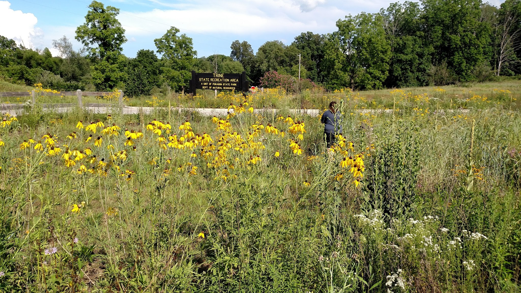 Trine State Recreation Area