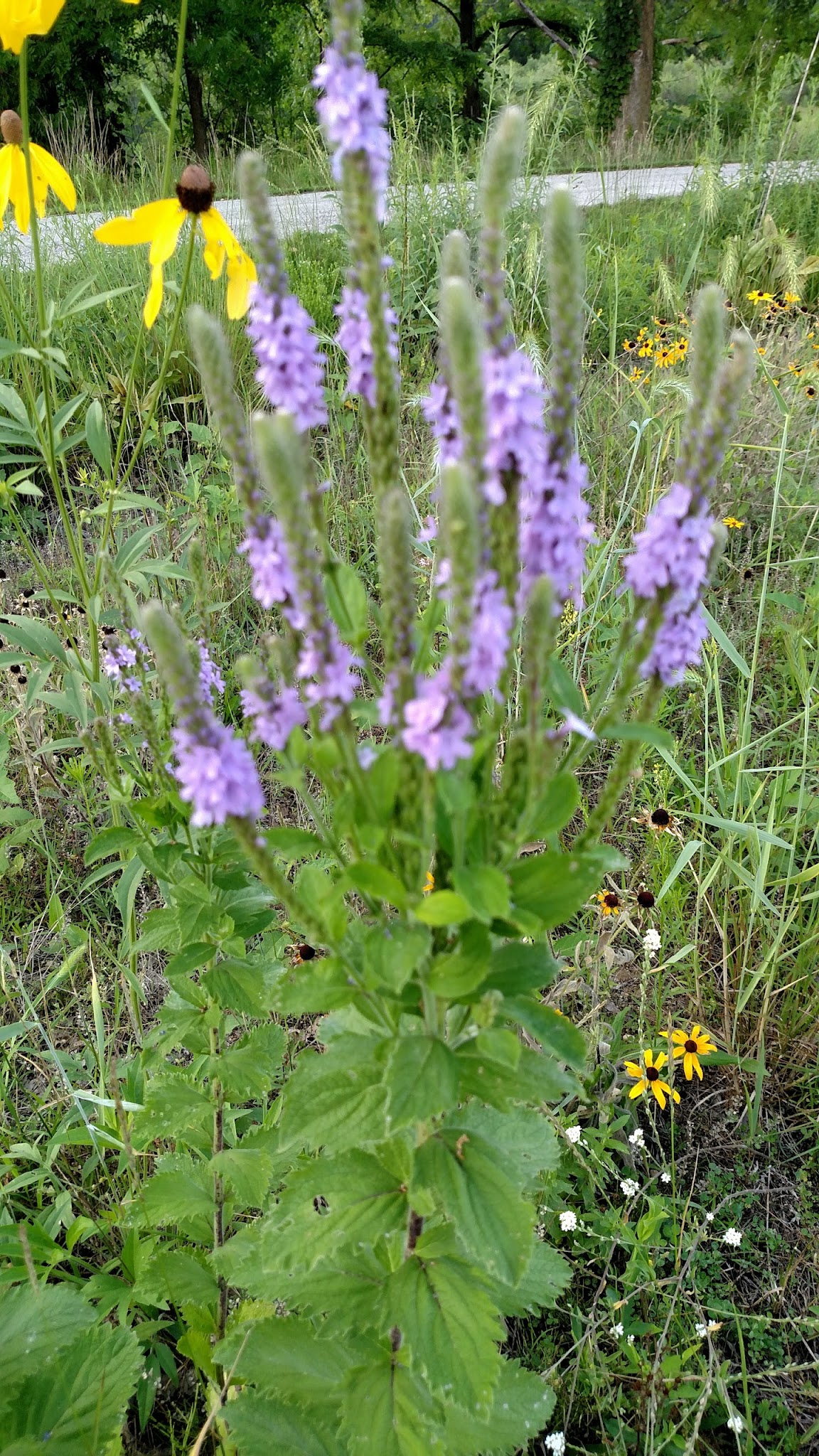 Trine State Recreation Area