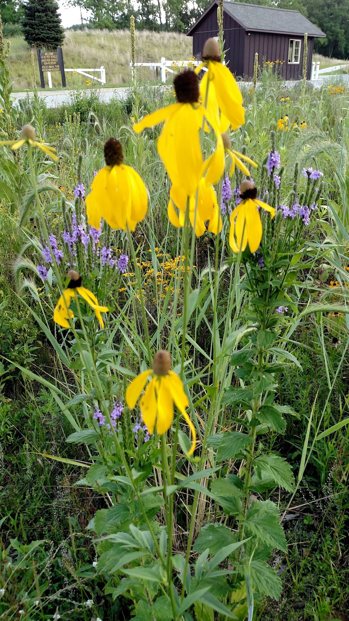 Trine State Recreation Area