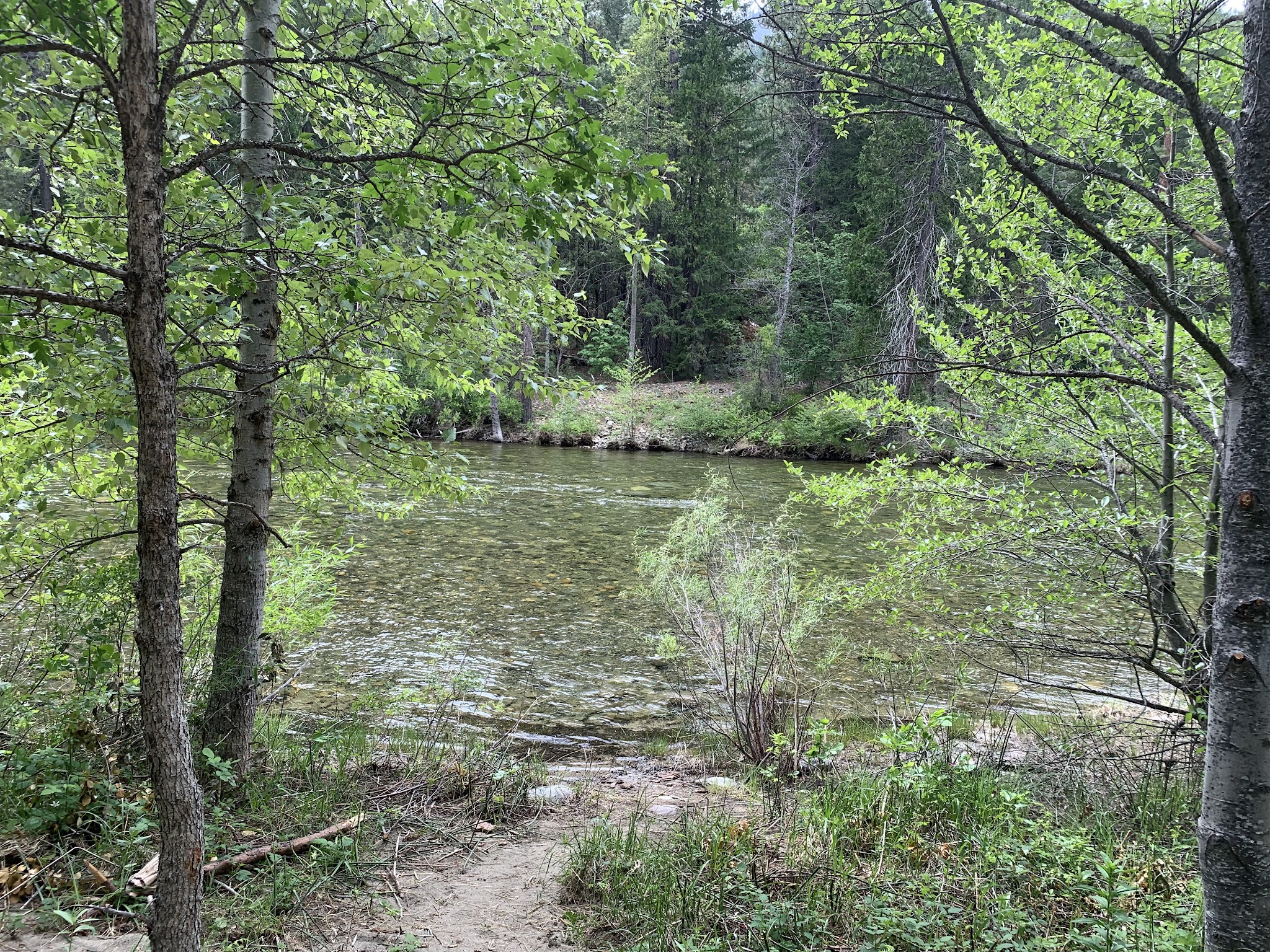 Trinity River Campground