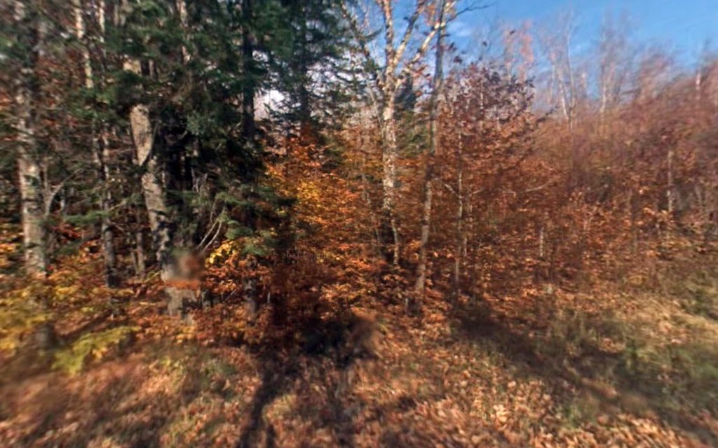 Tripoli Road Camping Area