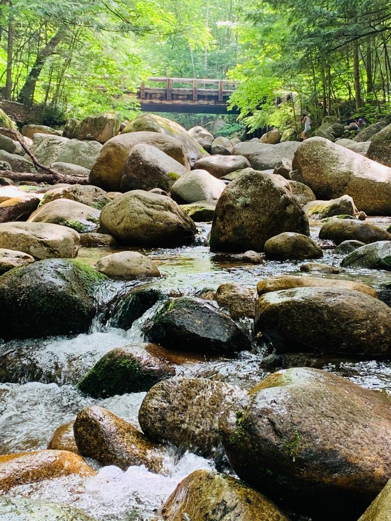 Tripoli Road Camping Area