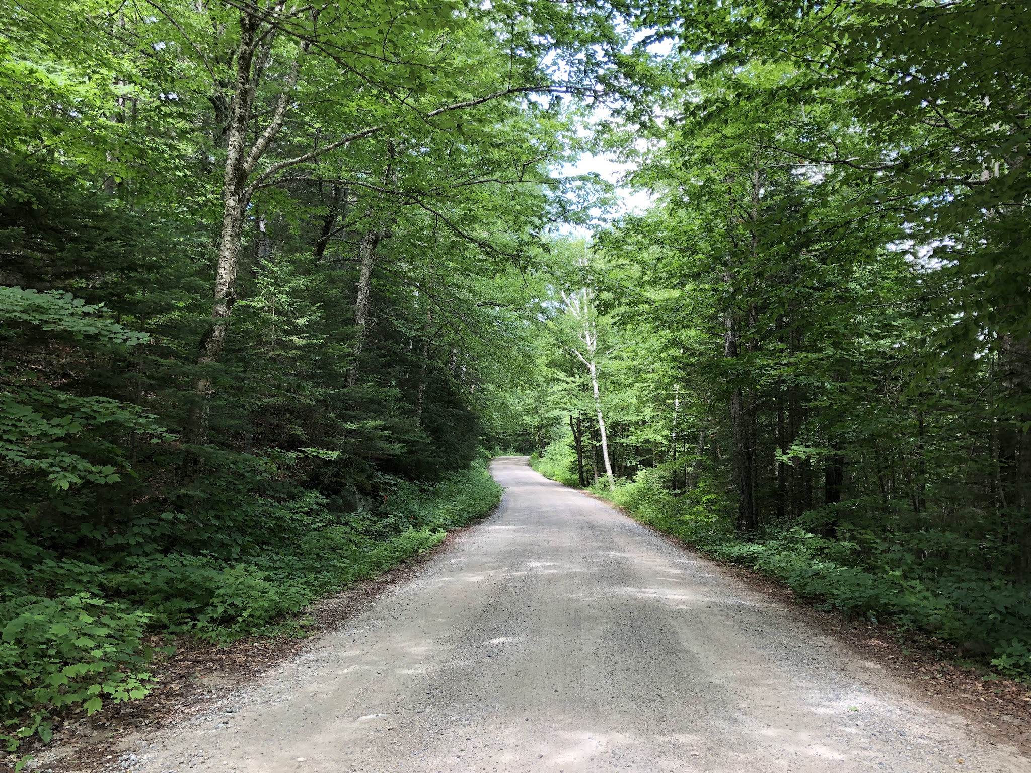 Tripoli Road Camping Area