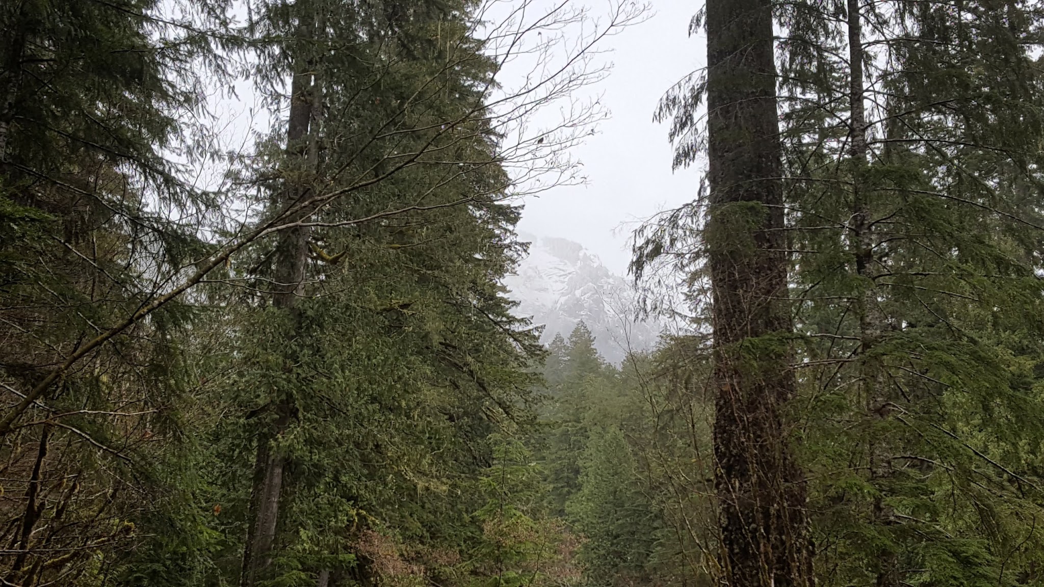 Troublesome Creek Campground