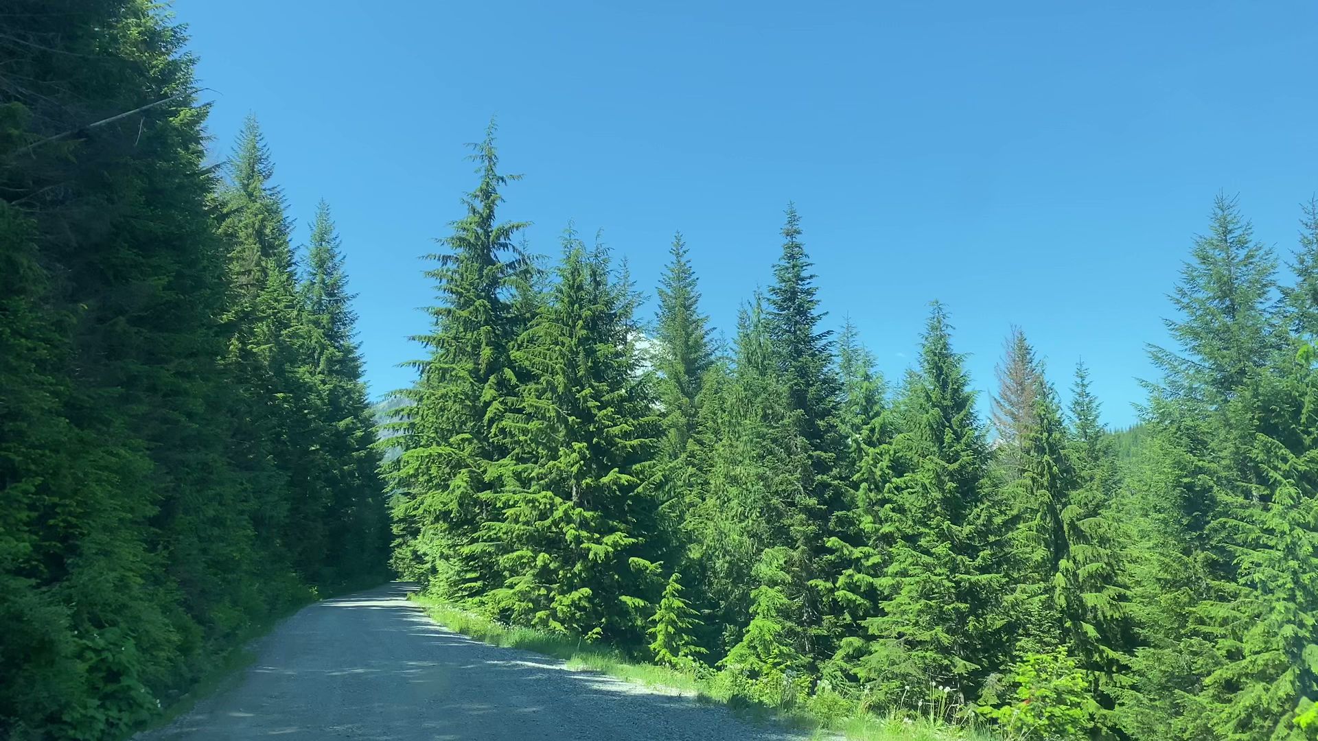 Troublesome Creek Campground