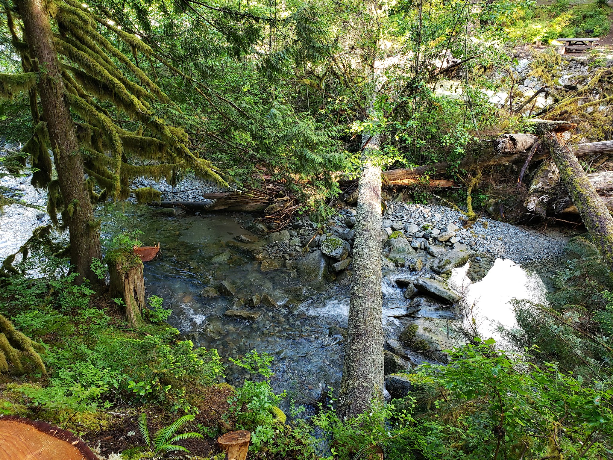 Troublesome Creek Campground
