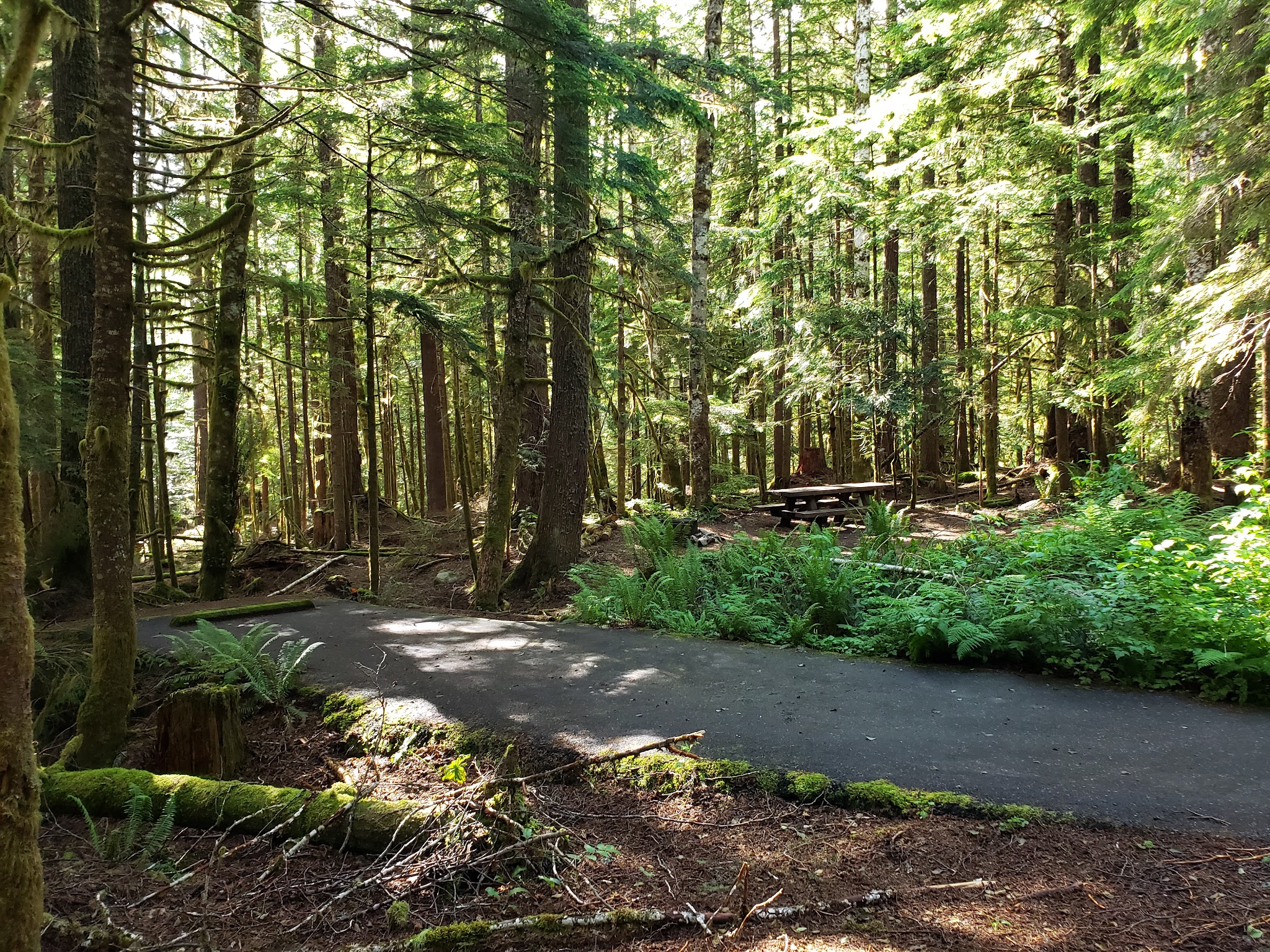 Troublesome Creek Campground