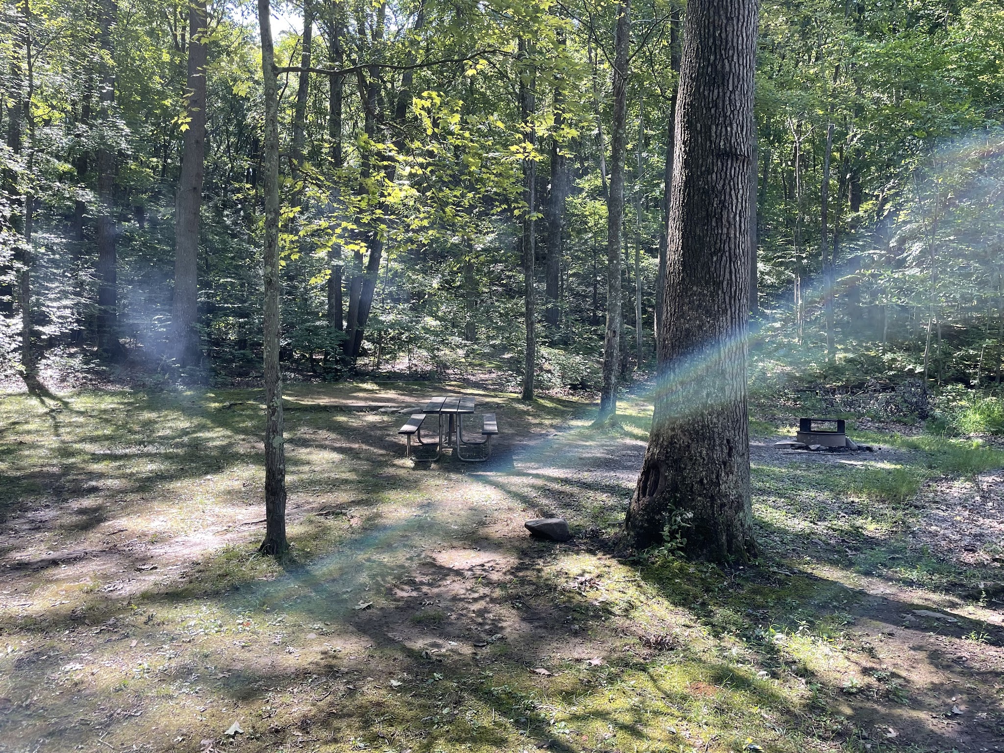 Trough Creek State Park