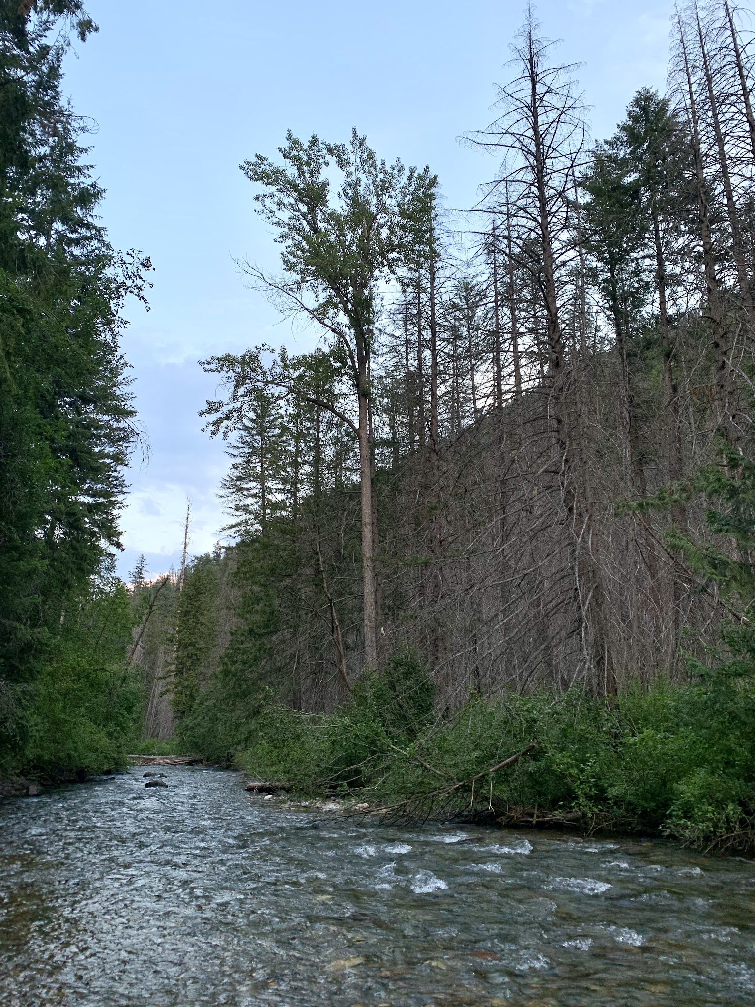 Trout Creek Campground