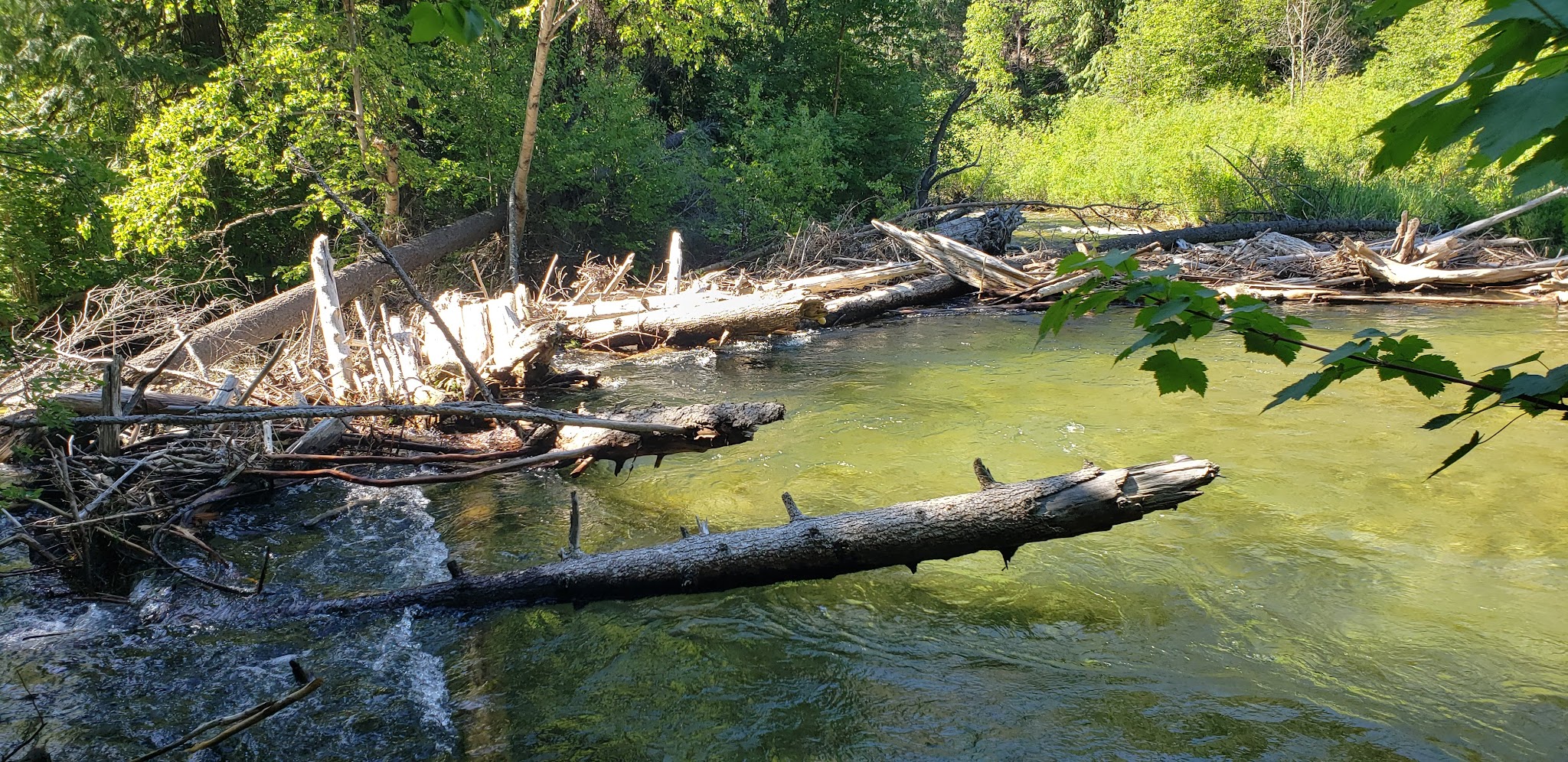 Trout Creek Campground