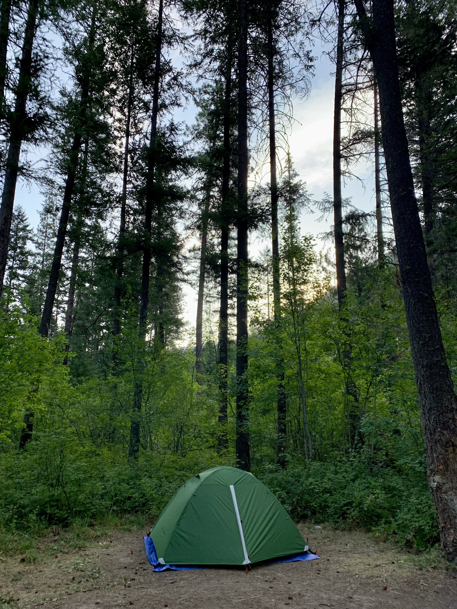 Trout Creek Campground