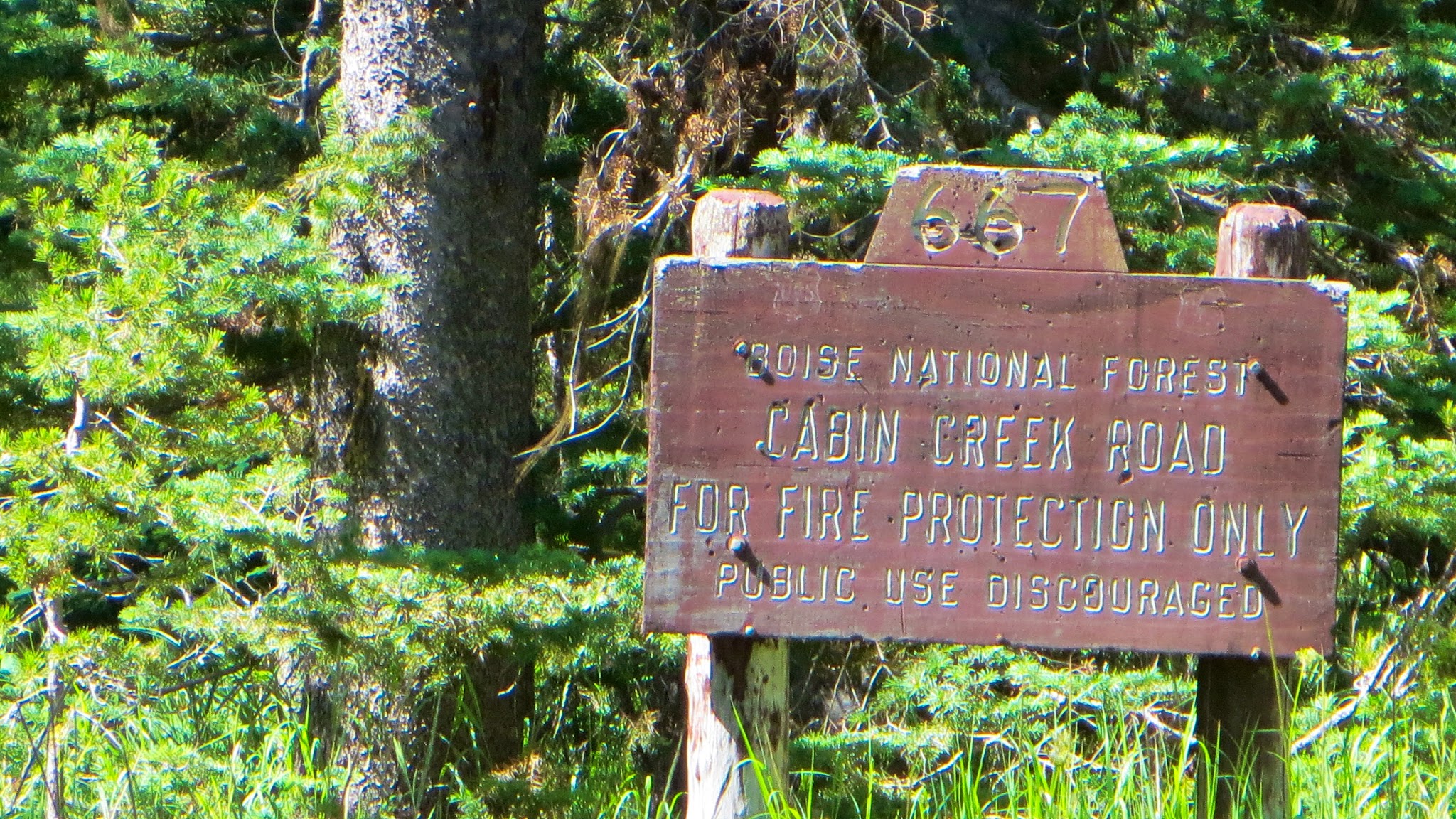 Trout Creek Campground