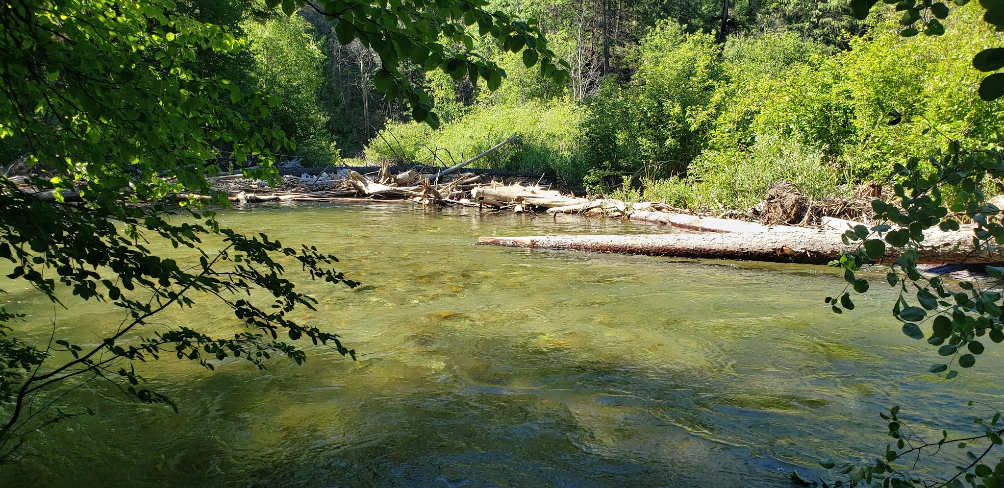 Trout Creek Campground