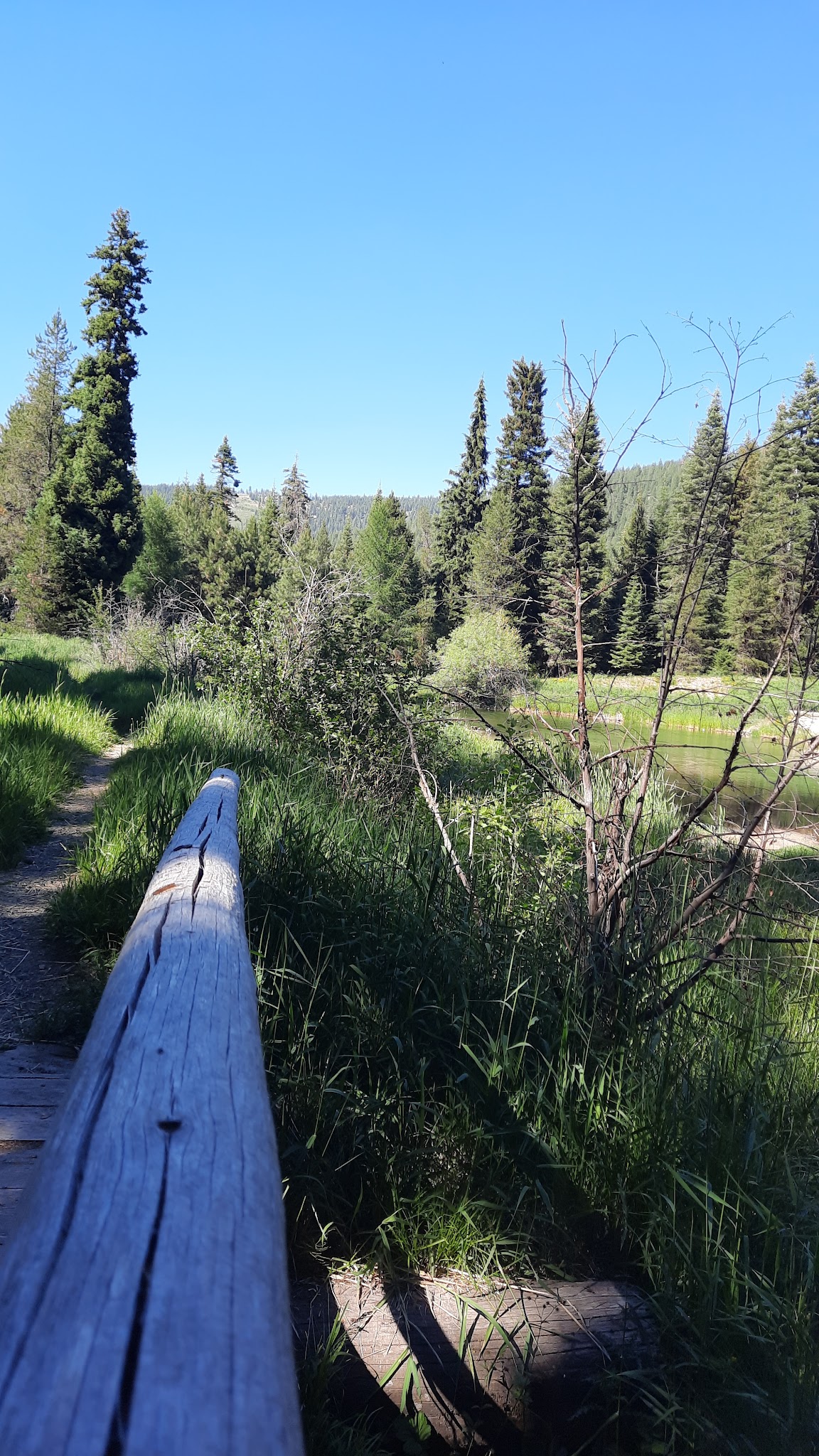 Trout Farm Campground
